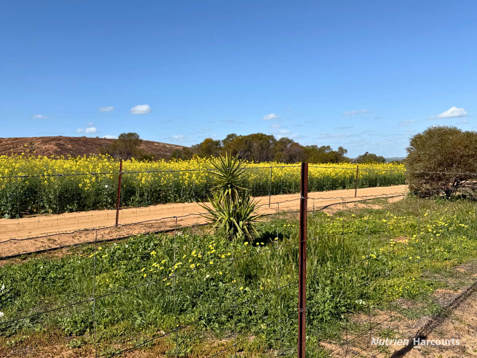 1320 Nukarni West Road, Elabbin For Sale by Farmbuy.com - image 9