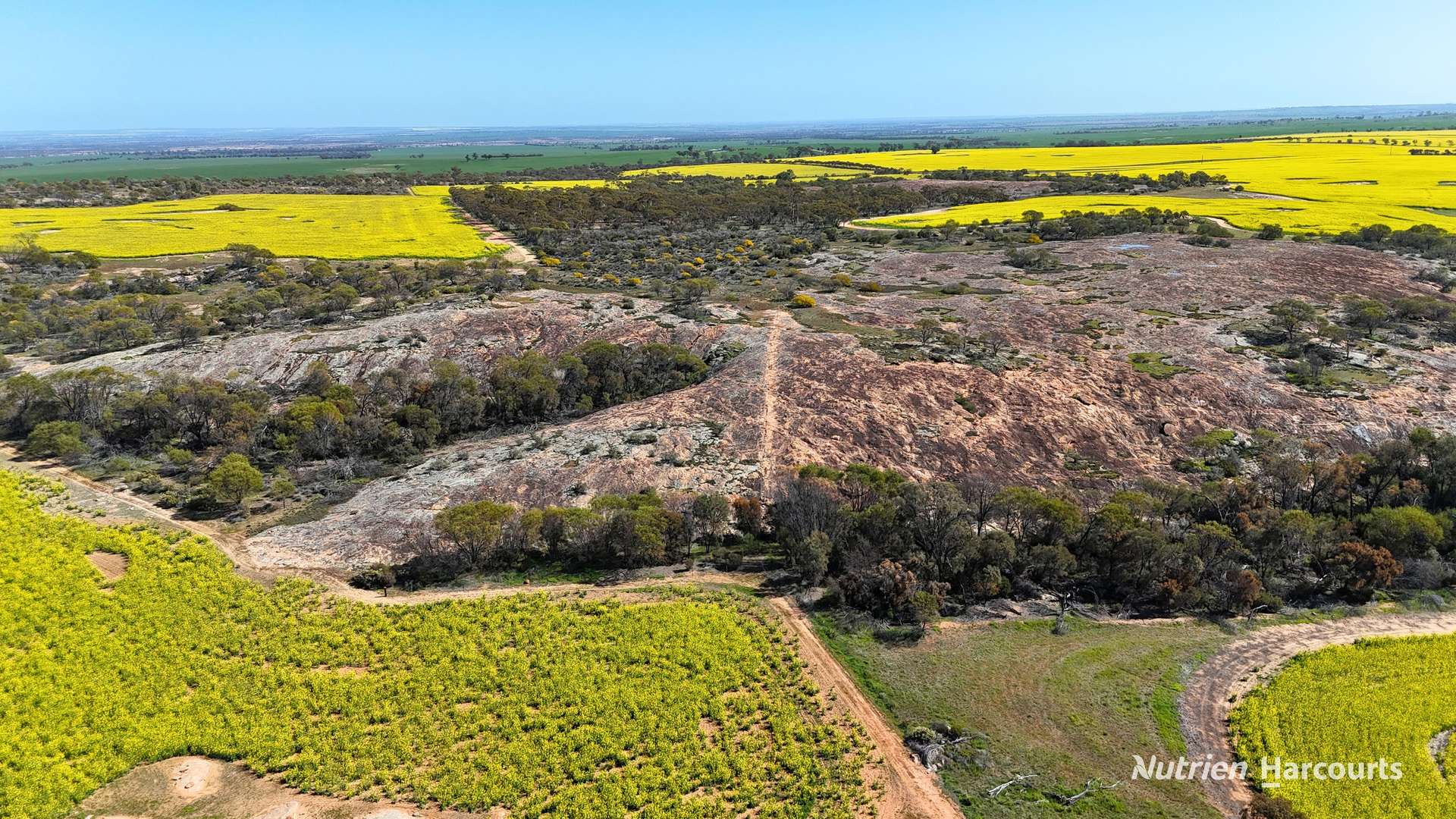 1320 Nukarni West Road, Elabbin For Sale by Farmbuy.com - image 2
