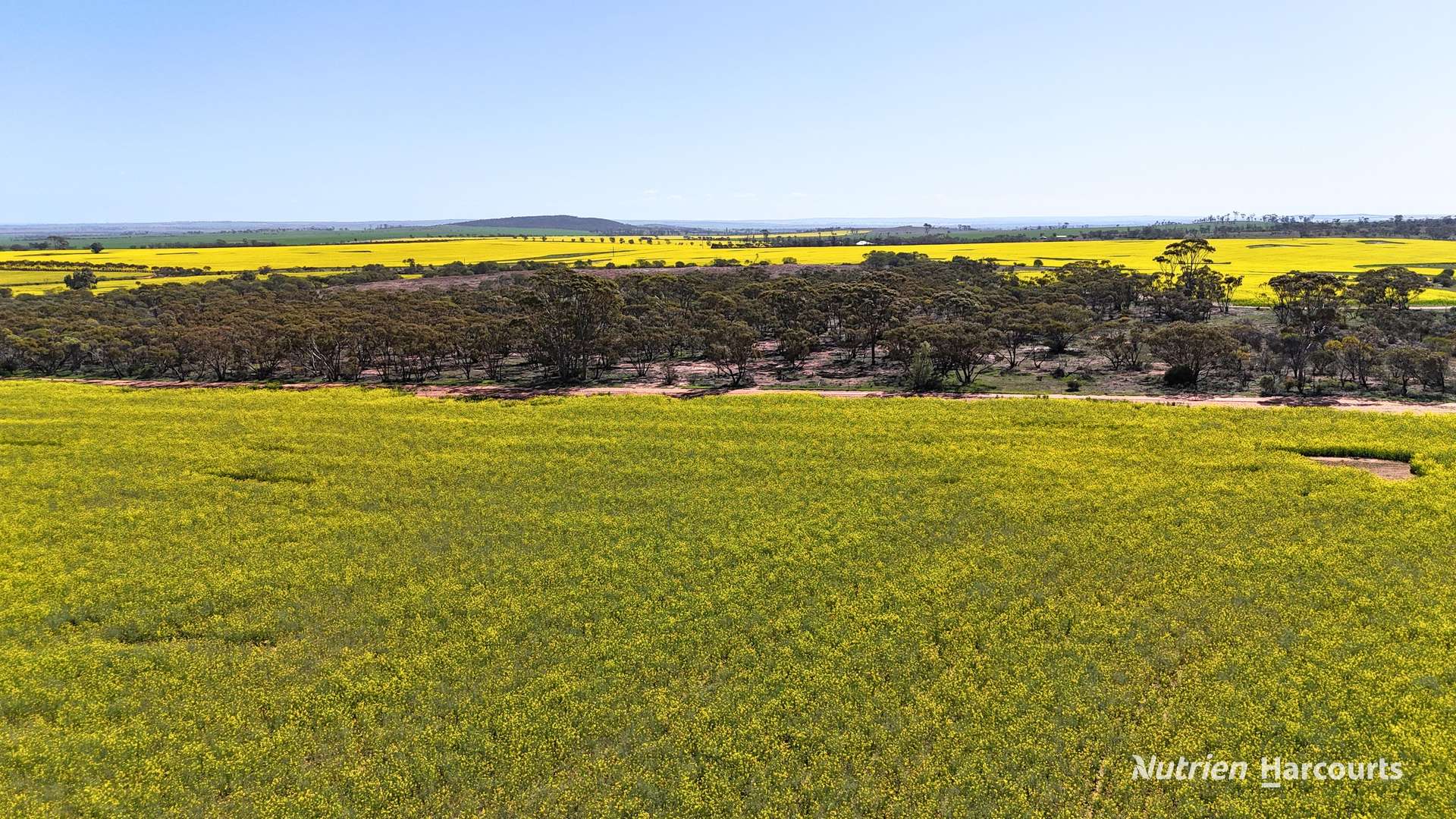 1320 Nukarni West Road, Elabbin For Sale by Farmbuy.com - image 8