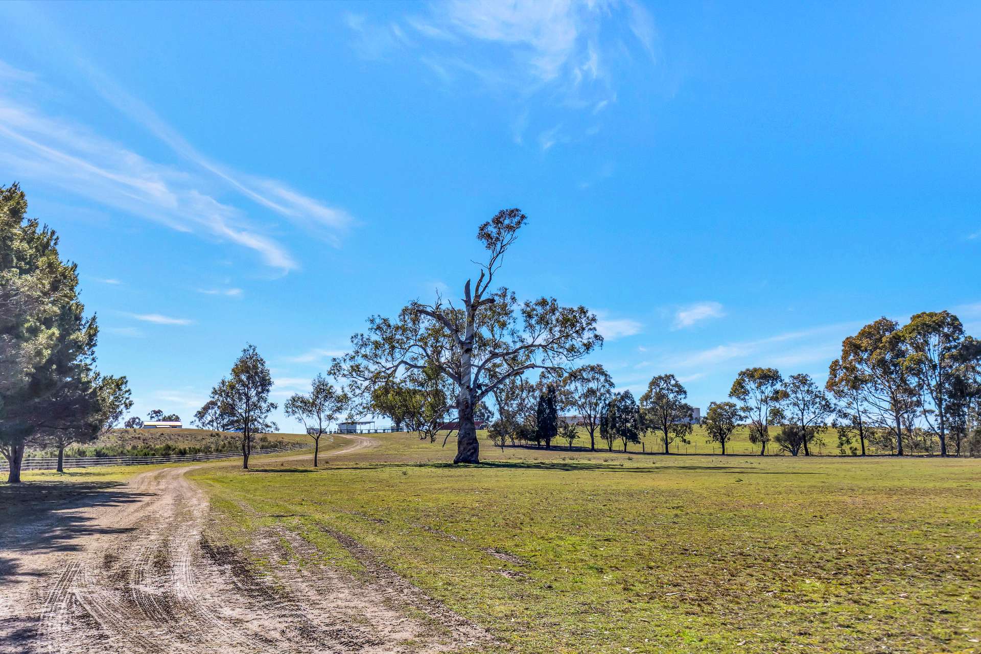 46 Iron Barks Road, Mudgee For Sale by Farmbuy.com - image 9