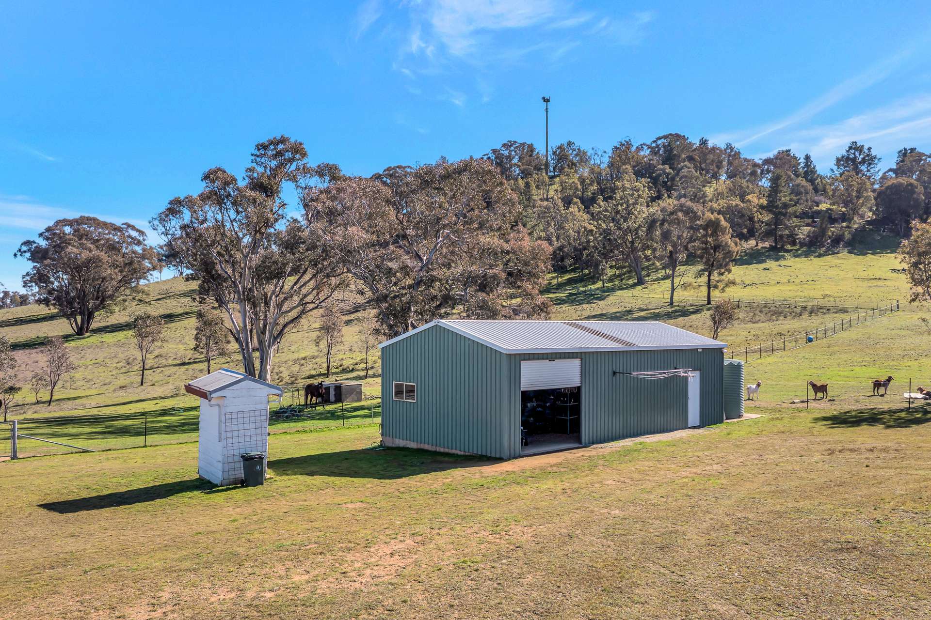 46 Iron Barks Road, Mudgee For Sale by Farmbuy.com - image 7