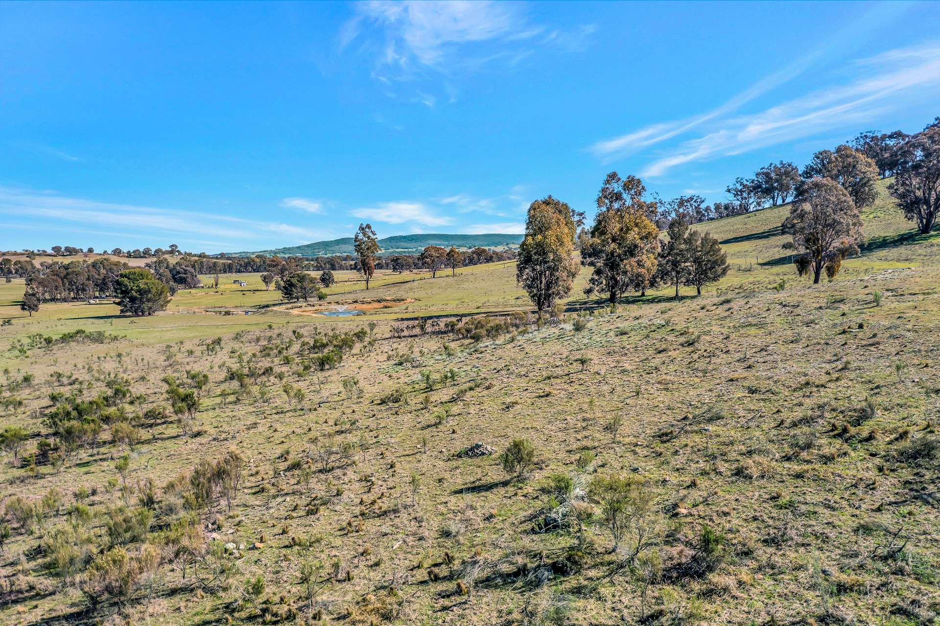 46 Iron Barks Road, Mudgee For Sale by Farmbuy.com - image 8