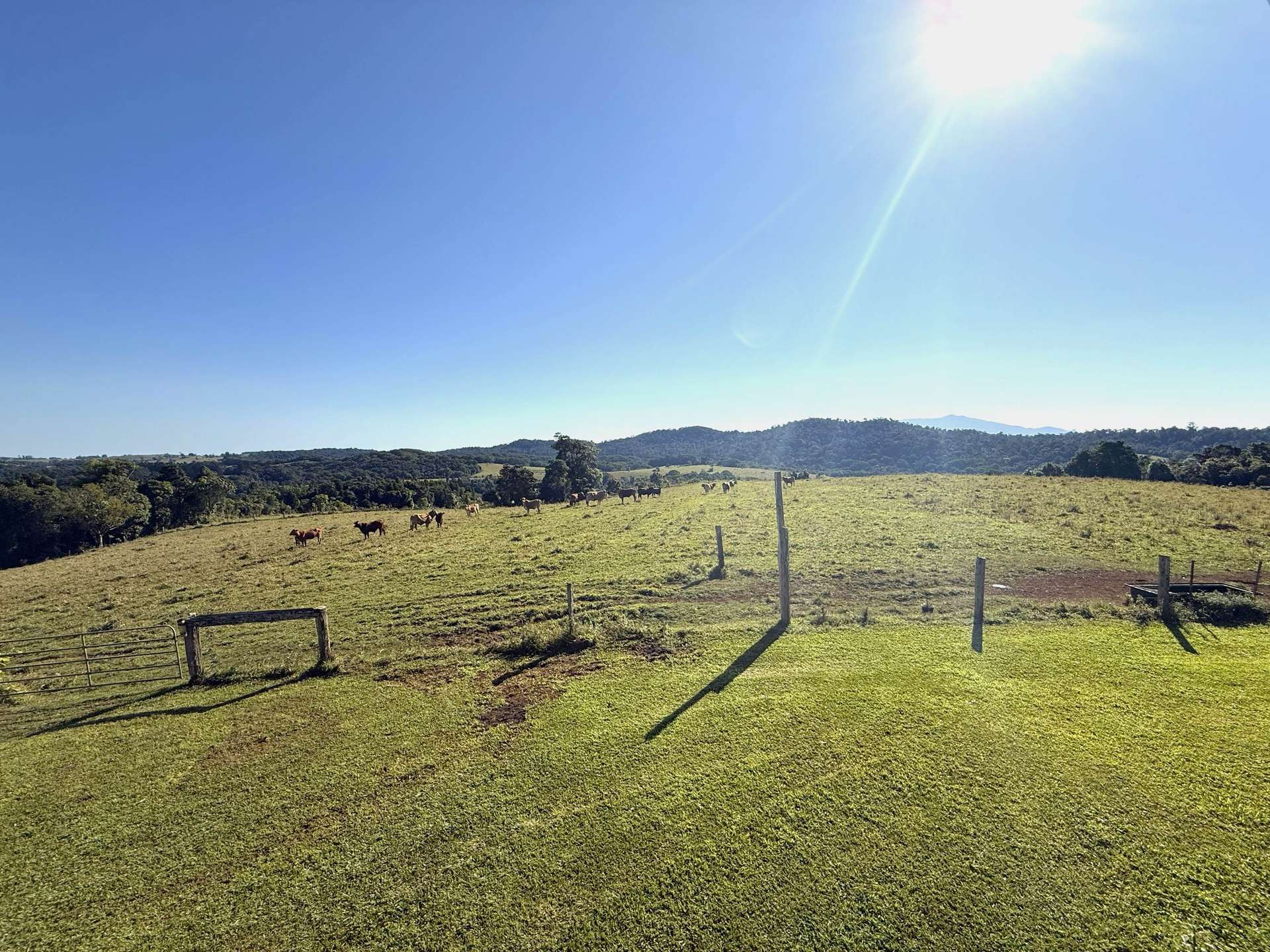 339 Watson Road, Ellinjaa For Sale by Farmbuy.com - image 24