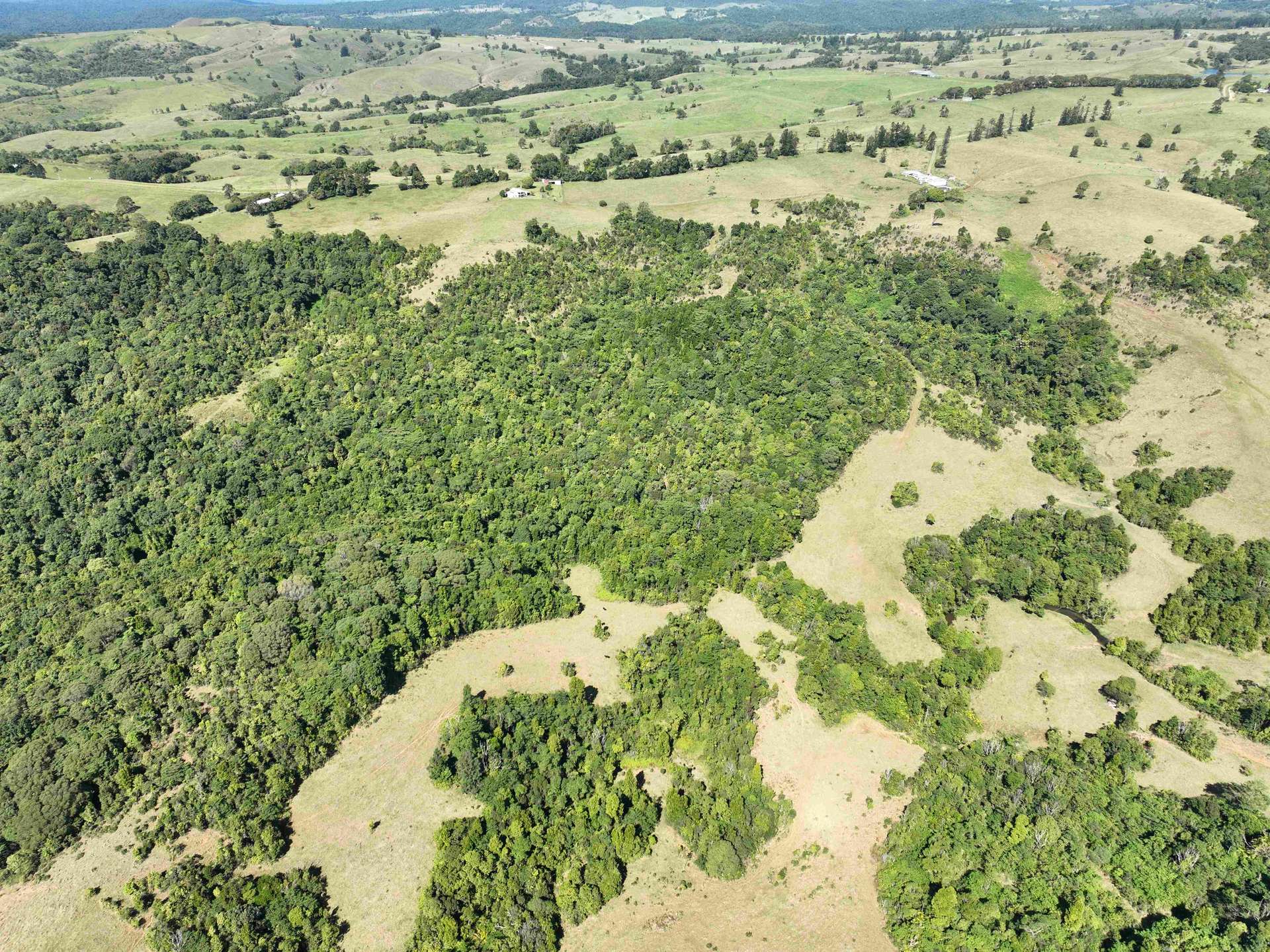 339 Watson Road, Ellinjaa For Sale by Farmbuy.com - image 28
