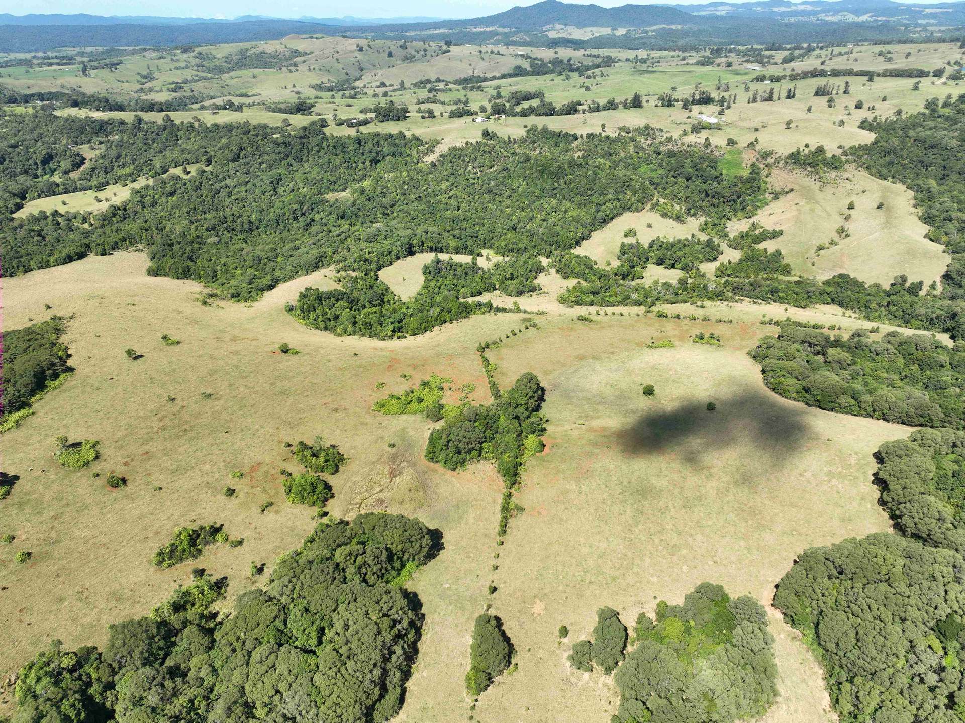 339 Watson Road, Ellinjaa For Sale by Farmbuy.com - image 6