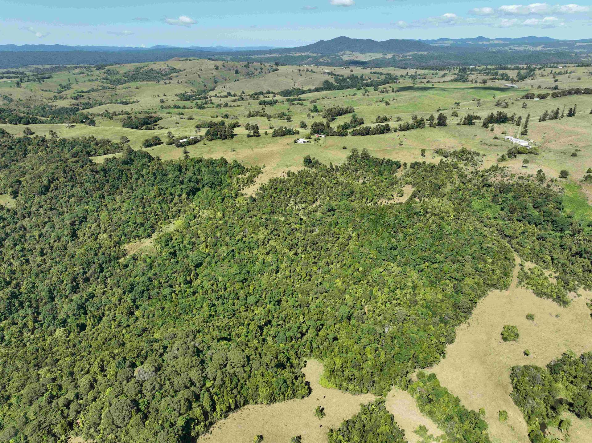 339 Watson Road, Ellinjaa For Sale by Farmbuy.com - image 5
