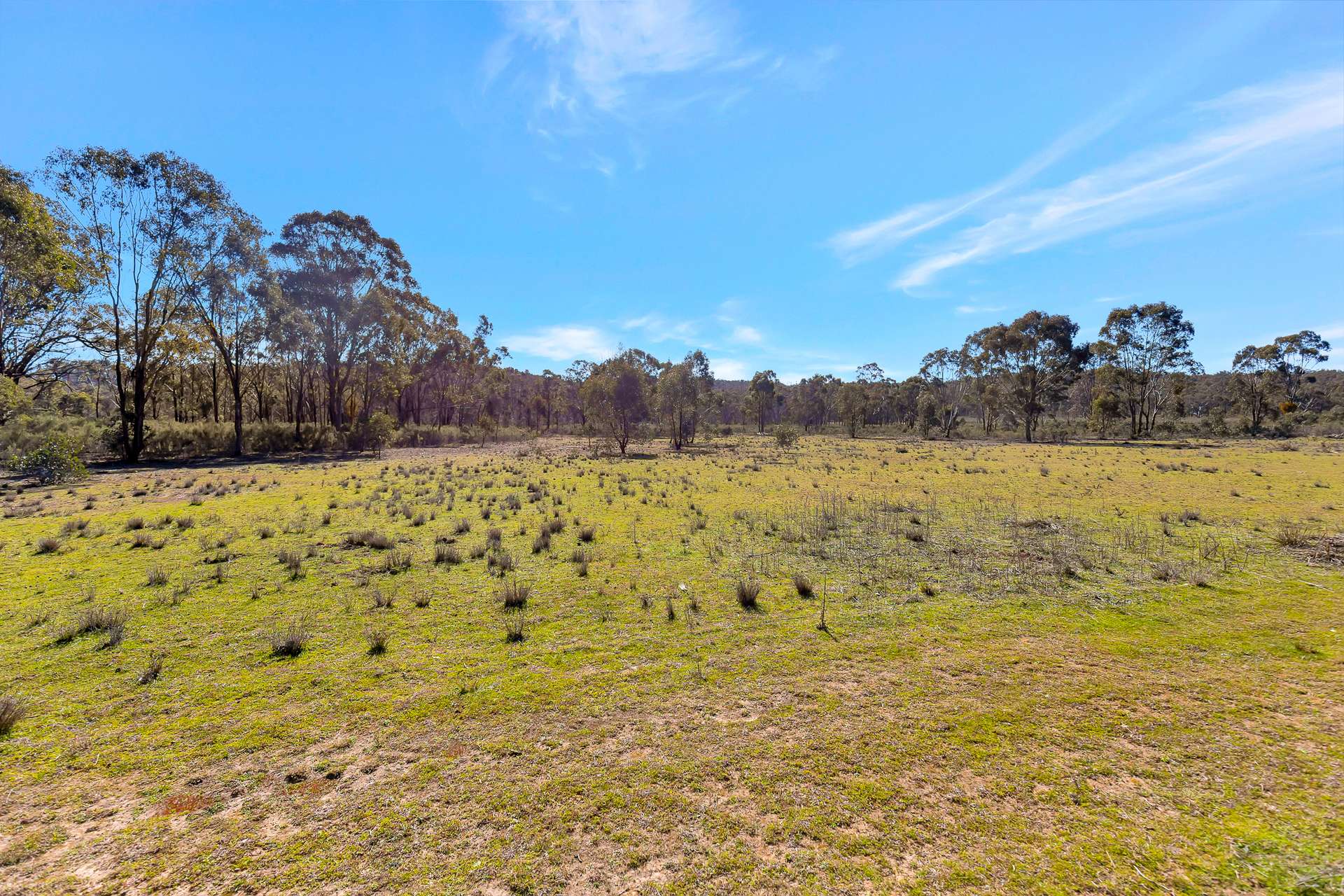 703 Durridgere Road, Mudgee For Sale by Farmbuy.com - image 2