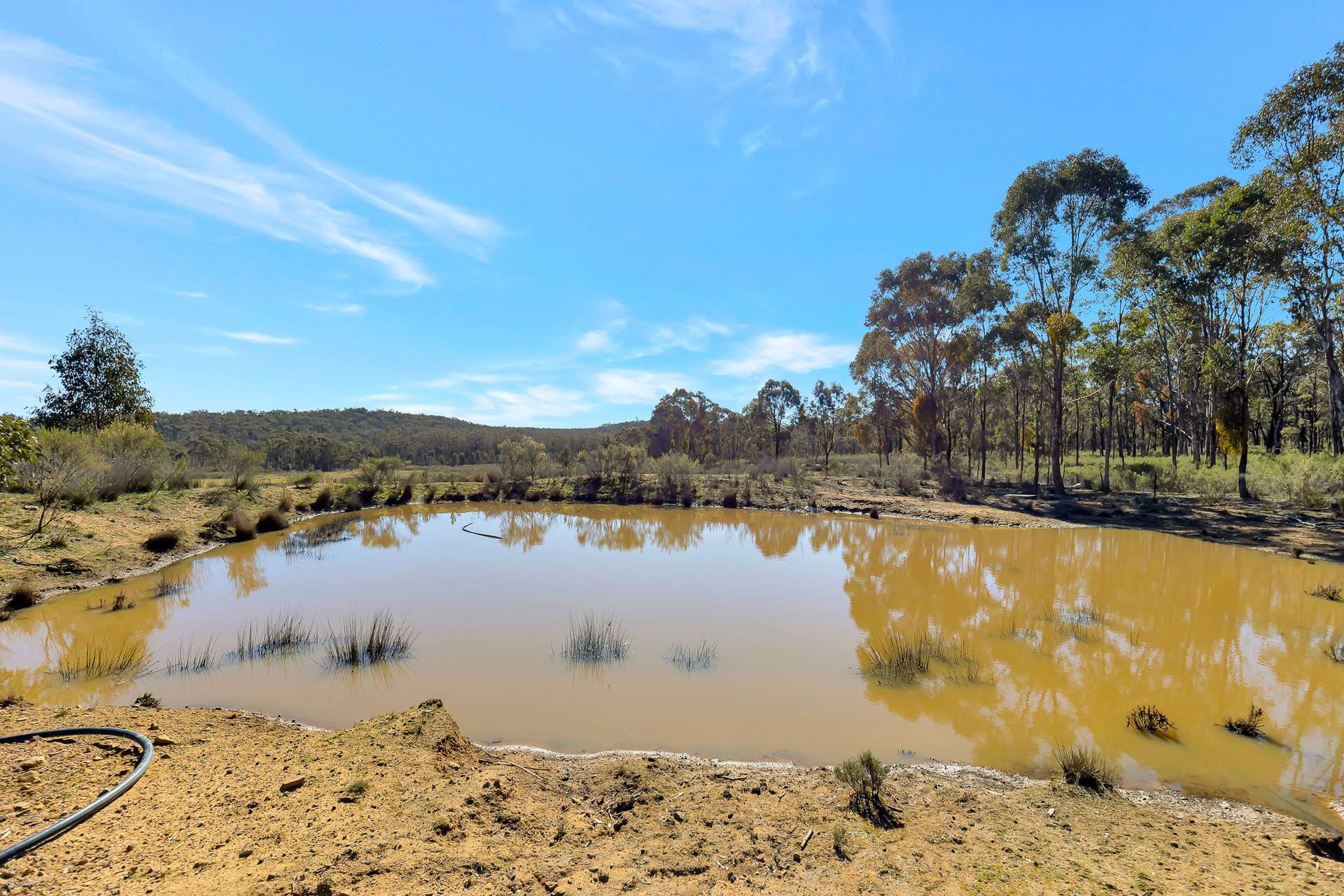 703 Durridgere Road, Mudgee For Sale by Farmbuy.com - image 12