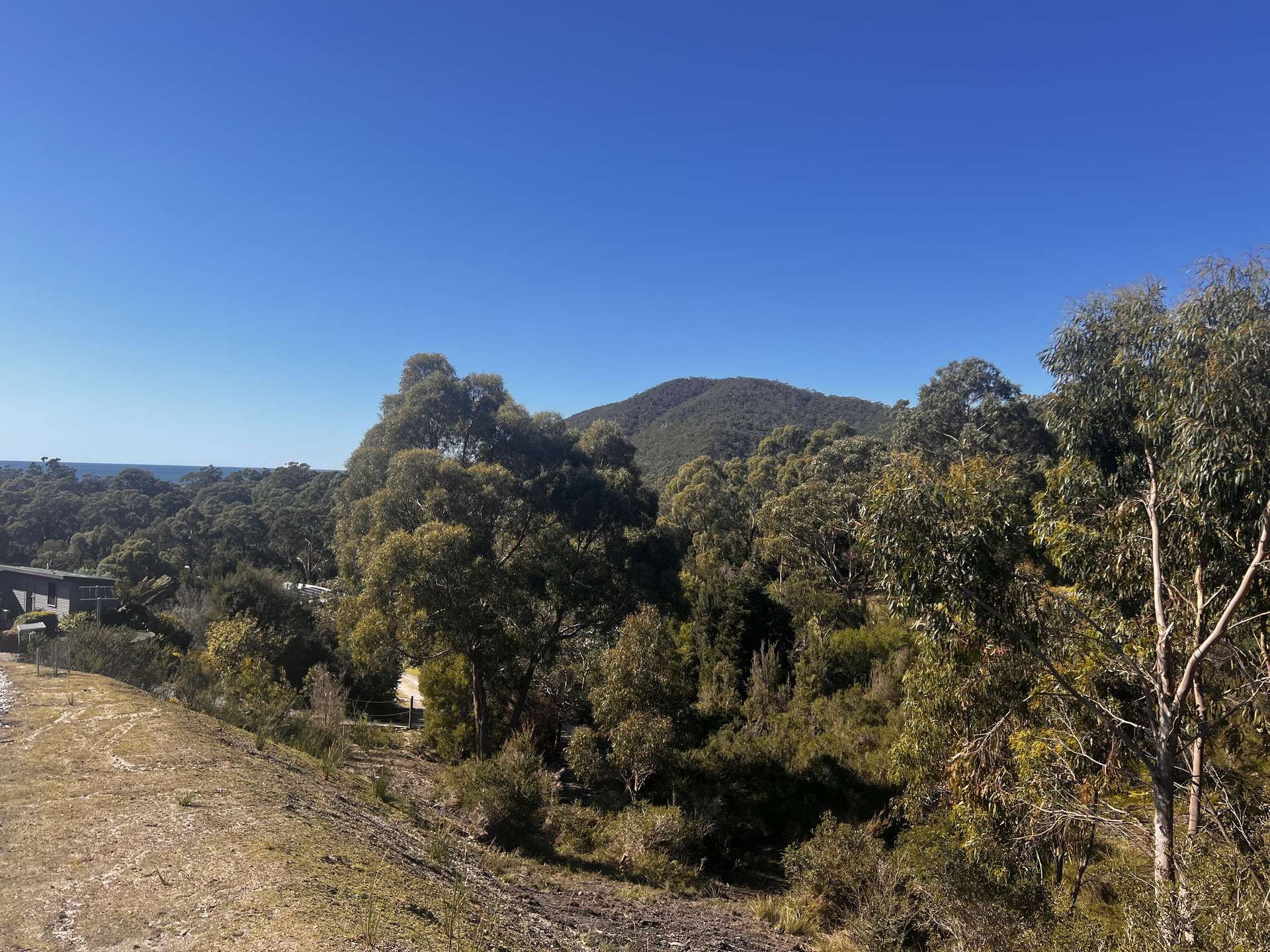 Lot 13,  Banksia Avenue, Sisters Beach For Sale by Farmbuy.com - image 2
