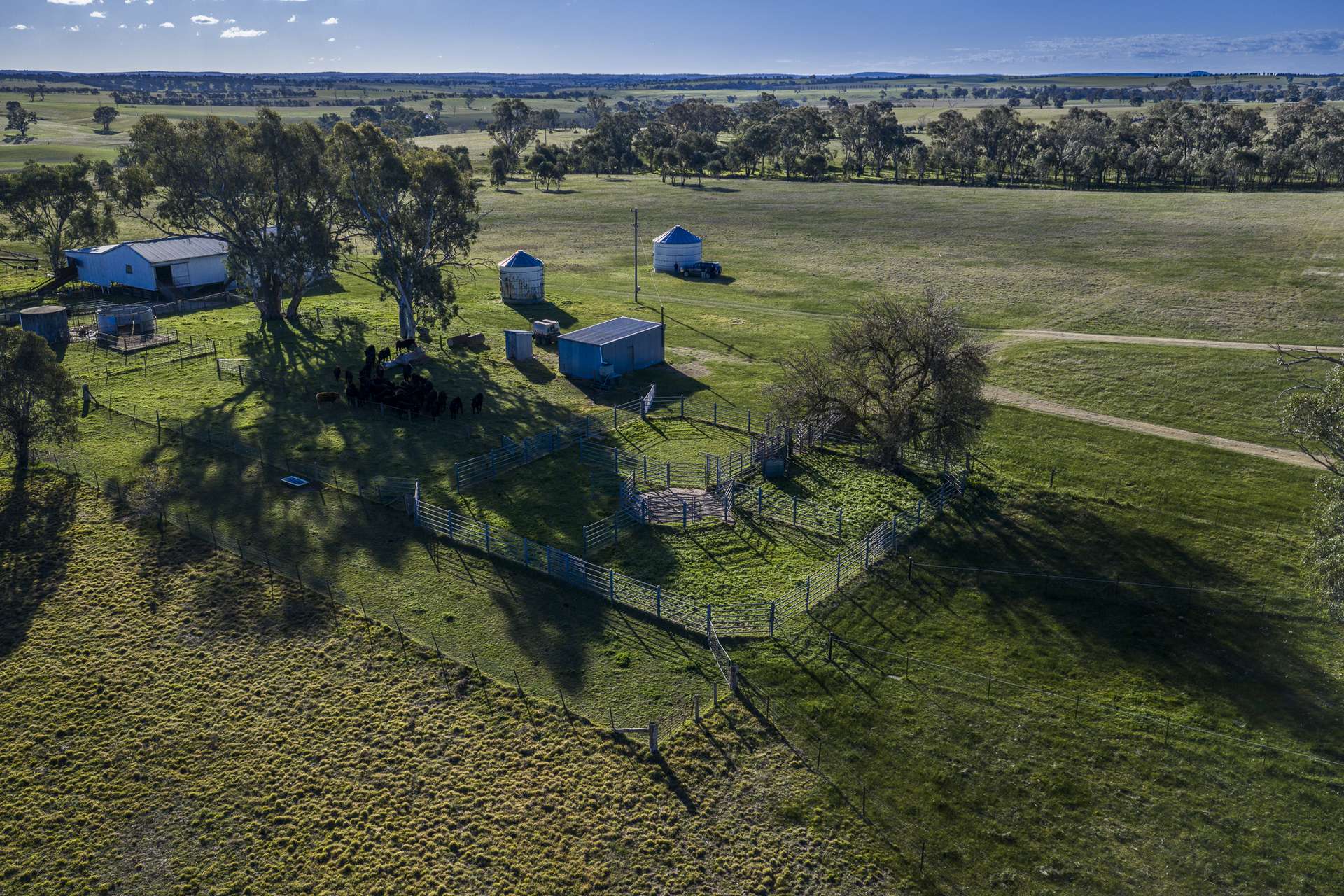 51 Normanhurst Lane, Boorowa Auction by Farmbuy.com - image 18