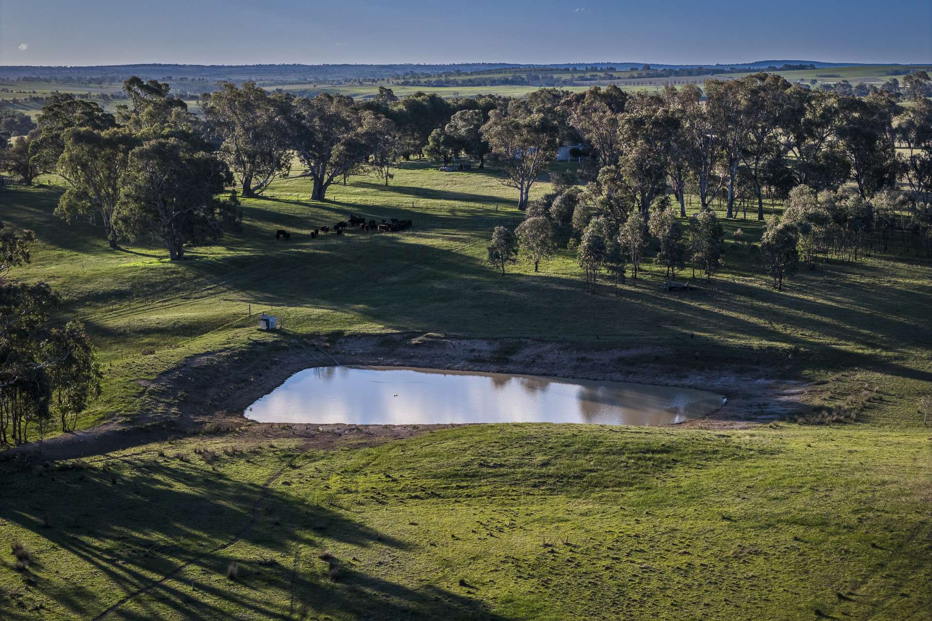 51 Normanhurst Lane, Boorowa Auction by Farmbuy.com - image 29