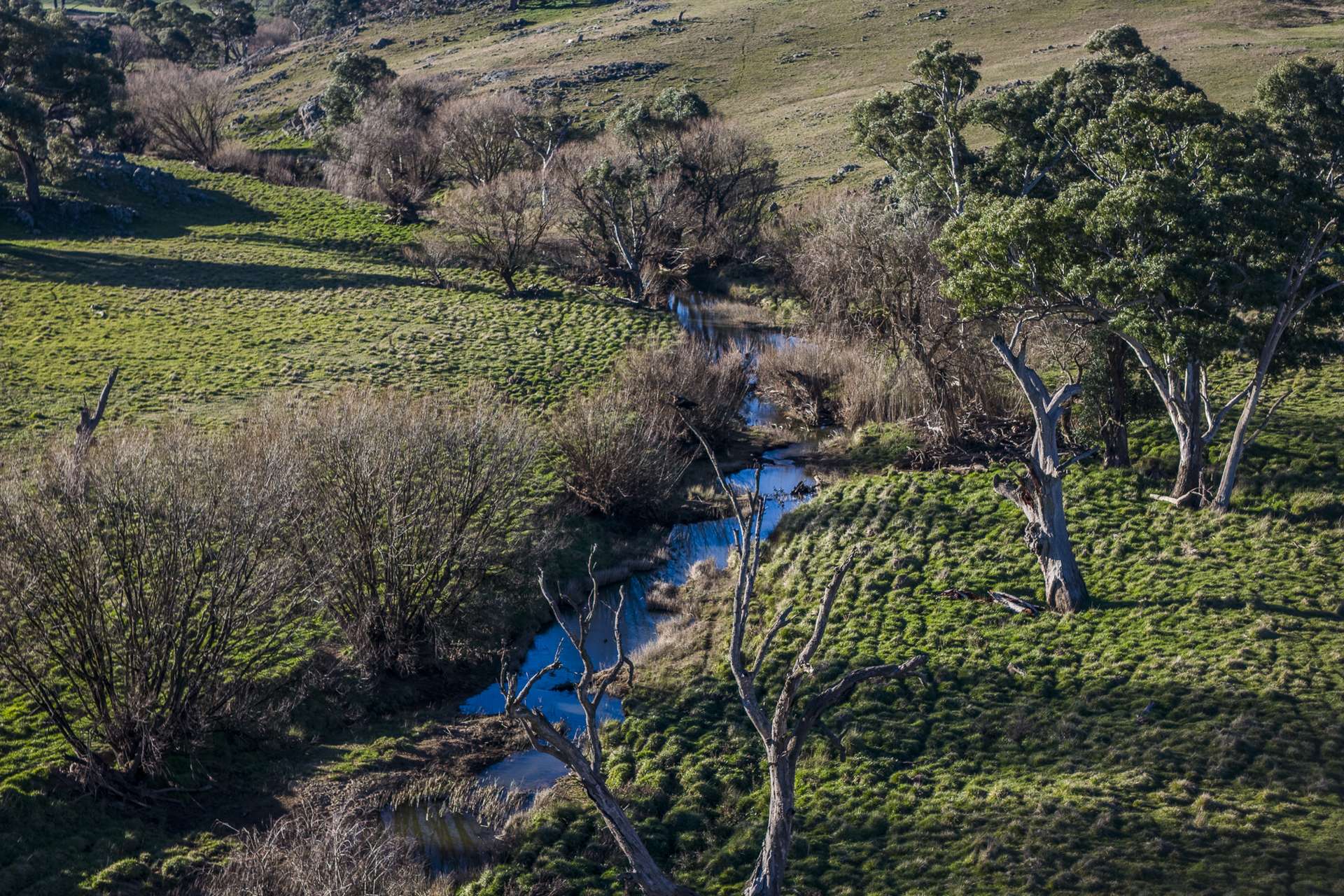 51 Normanhurst Lane, Boorowa Auction by Farmbuy.com - image 6