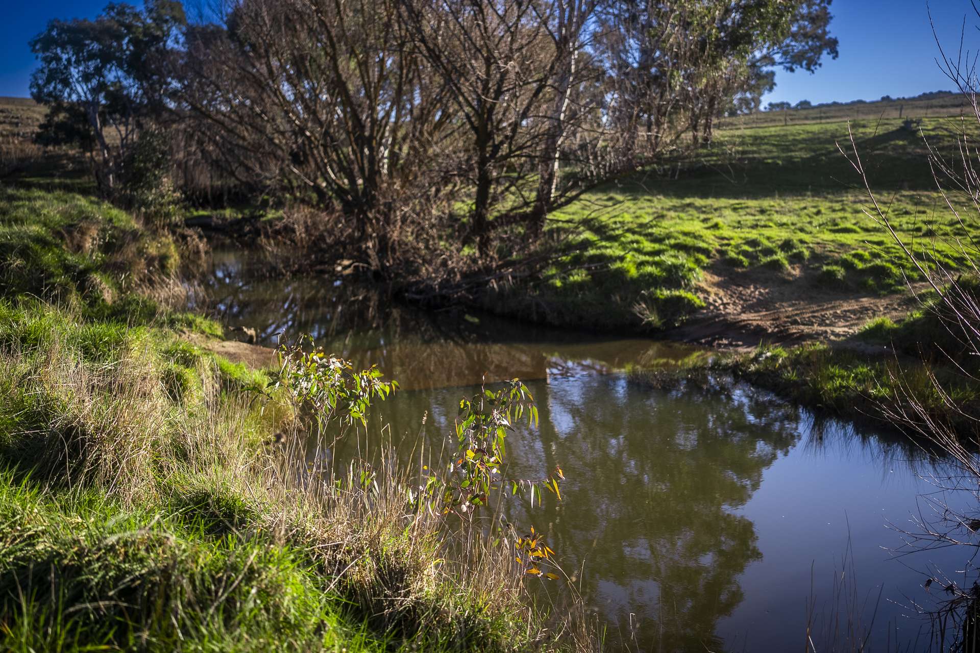 51 Normanhurst Lane, Boorowa Auction by Farmbuy.com - image 7