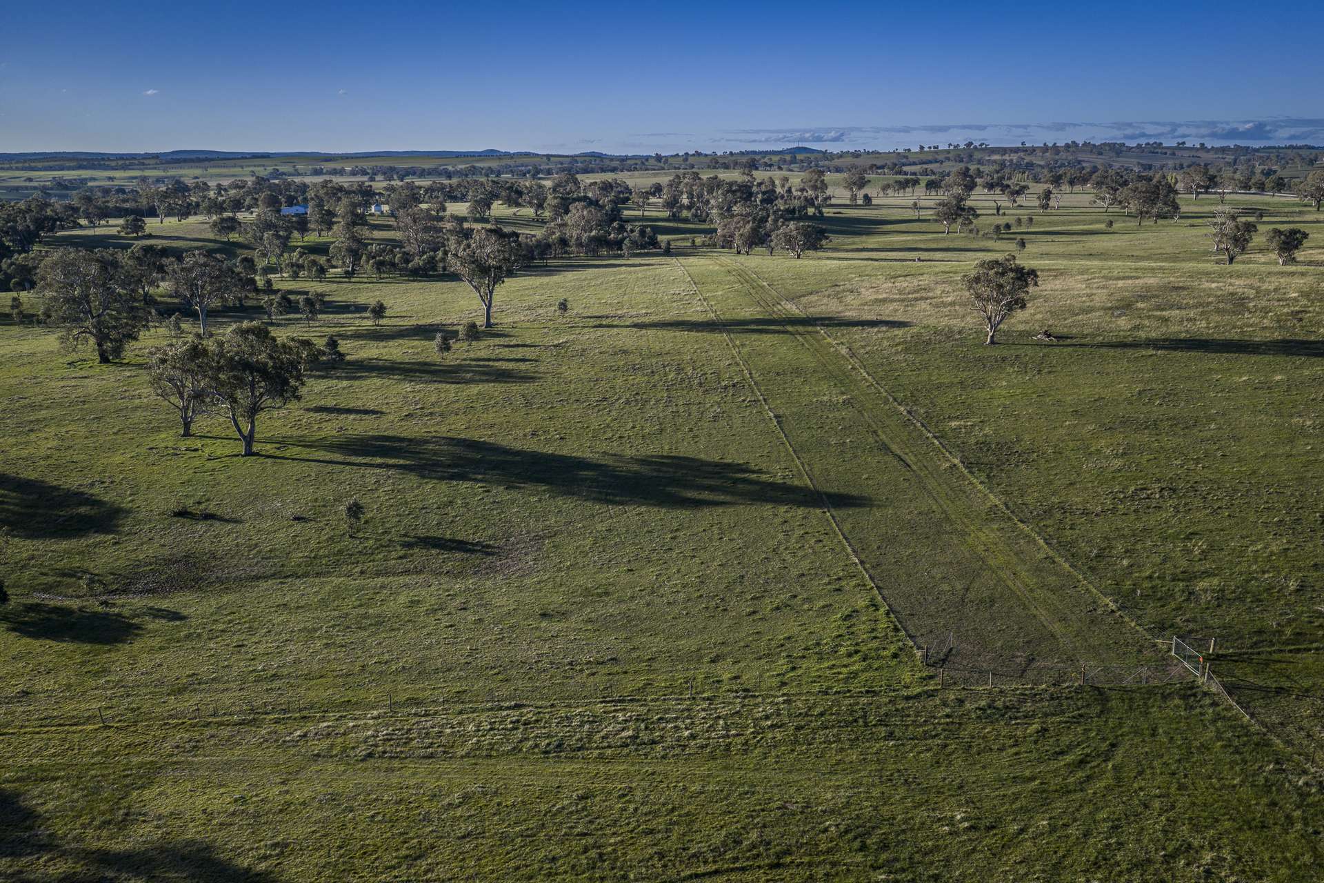 51 Normanhurst Lane, Boorowa Auction by Farmbuy.com - image 9