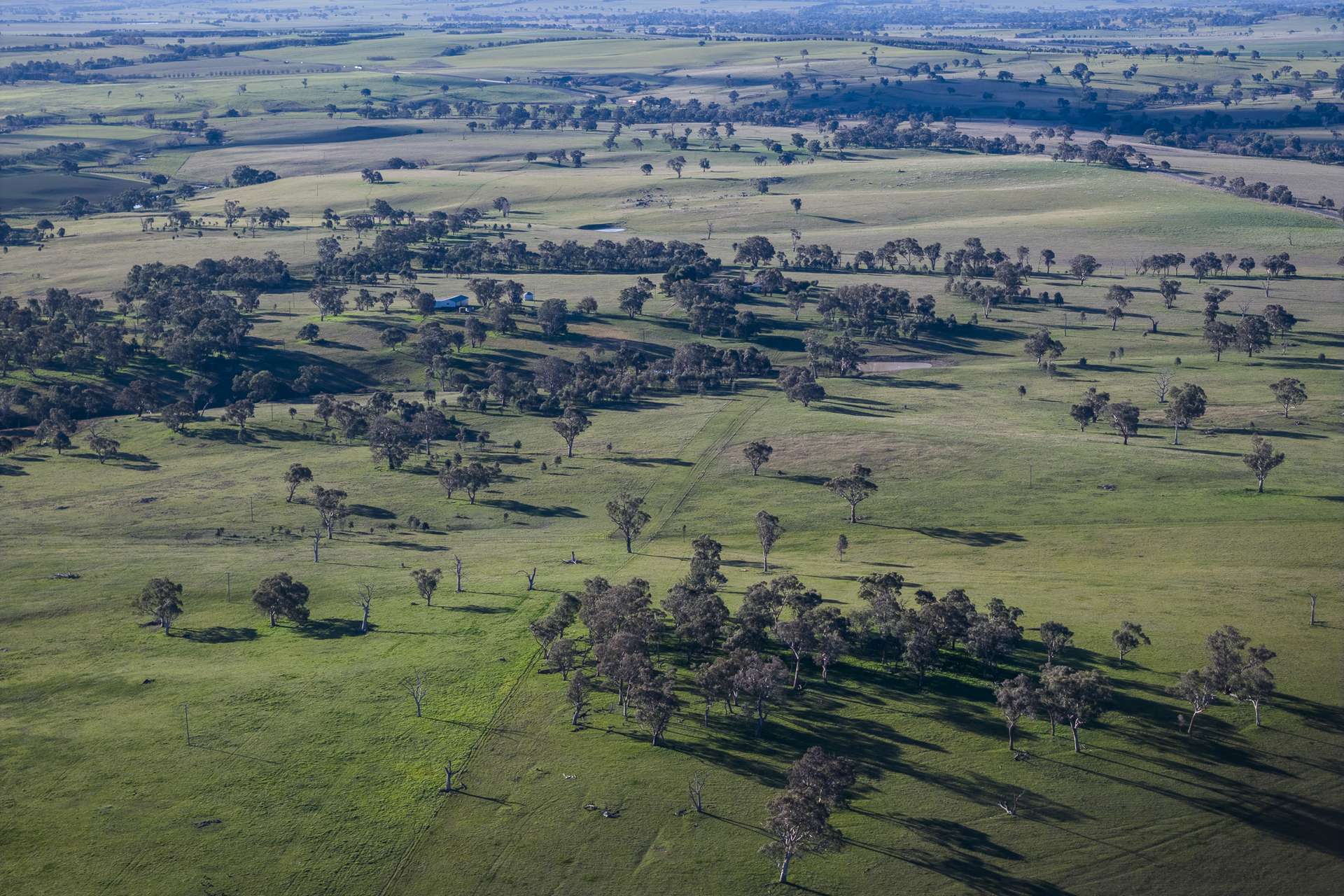 51 Normanhurst Lane, Boorowa Auction by Farmbuy.com - image 8