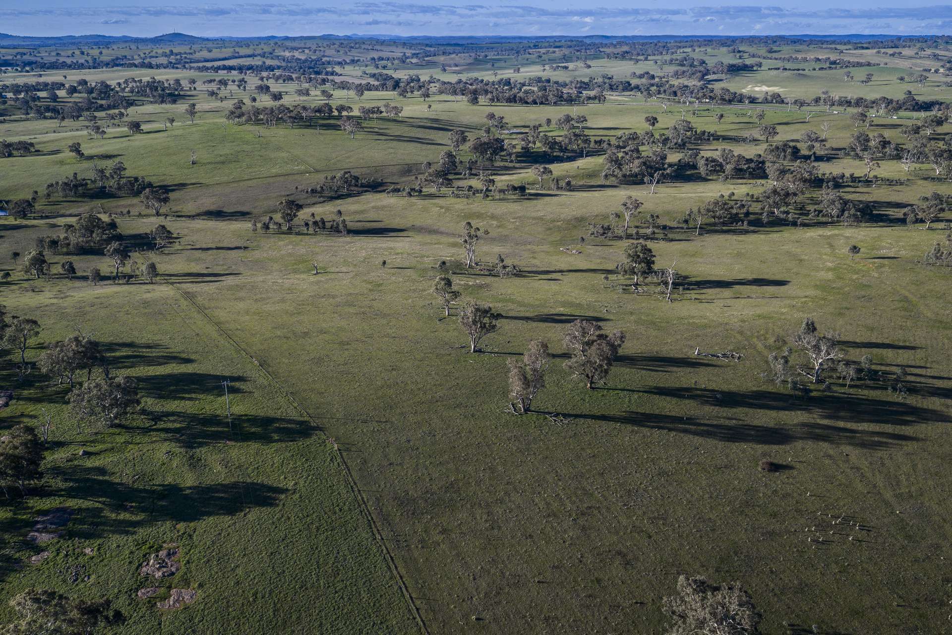 51 Normanhurst Lane, Boorowa Auction by Farmbuy.com - image 10