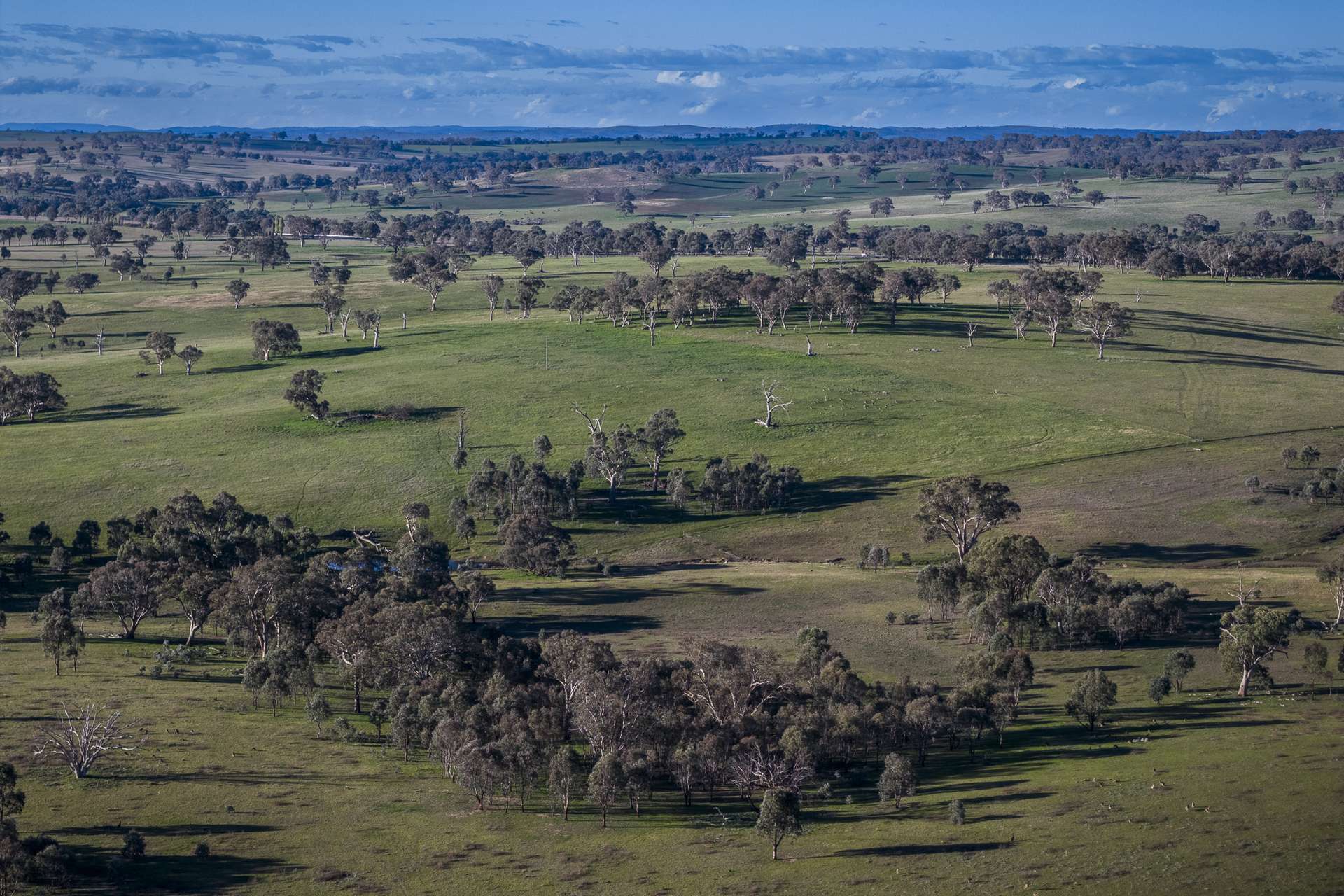 51 Normanhurst Lane, Boorowa Auction by Farmbuy.com - image 31