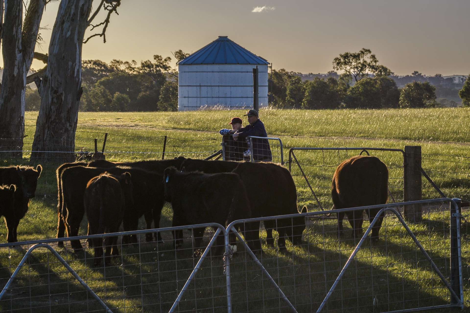51 Normanhurst Lane, Boorowa Auction by Farmbuy.com - image 19