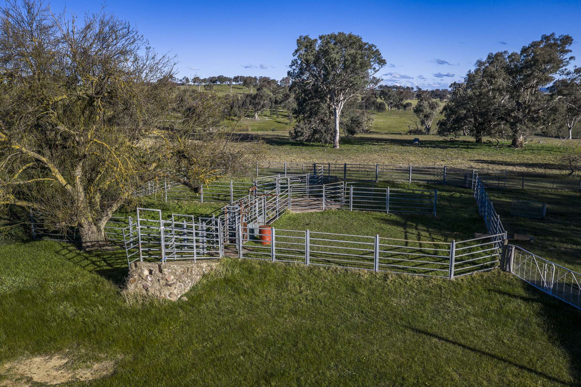 51 Normanhurst Lane, Boorowa Auction by Farmbuy.com - image 17