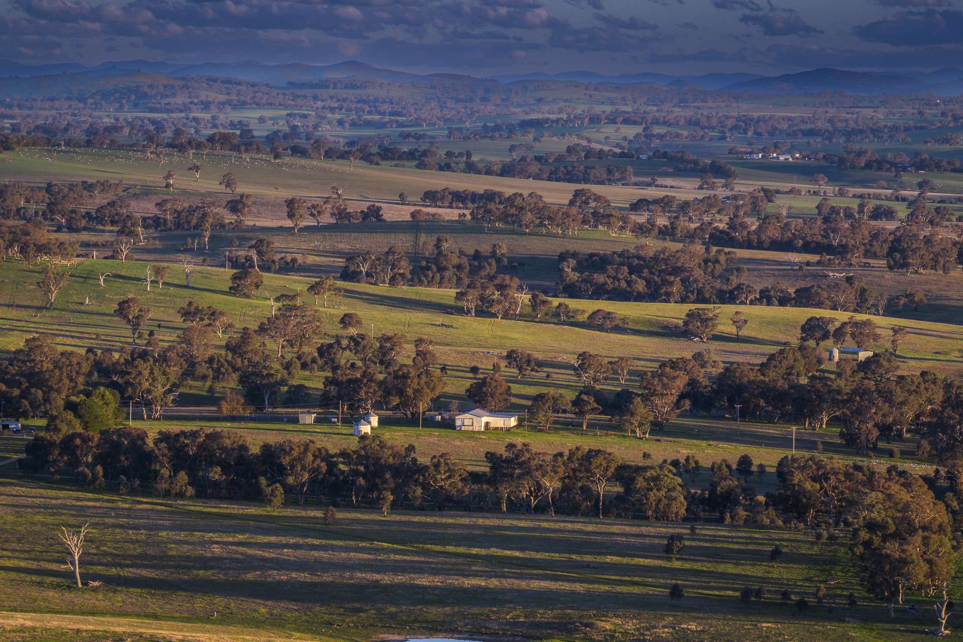 51 Normanhurst Lane, Boorowa Auction by Farmbuy.com - image 1