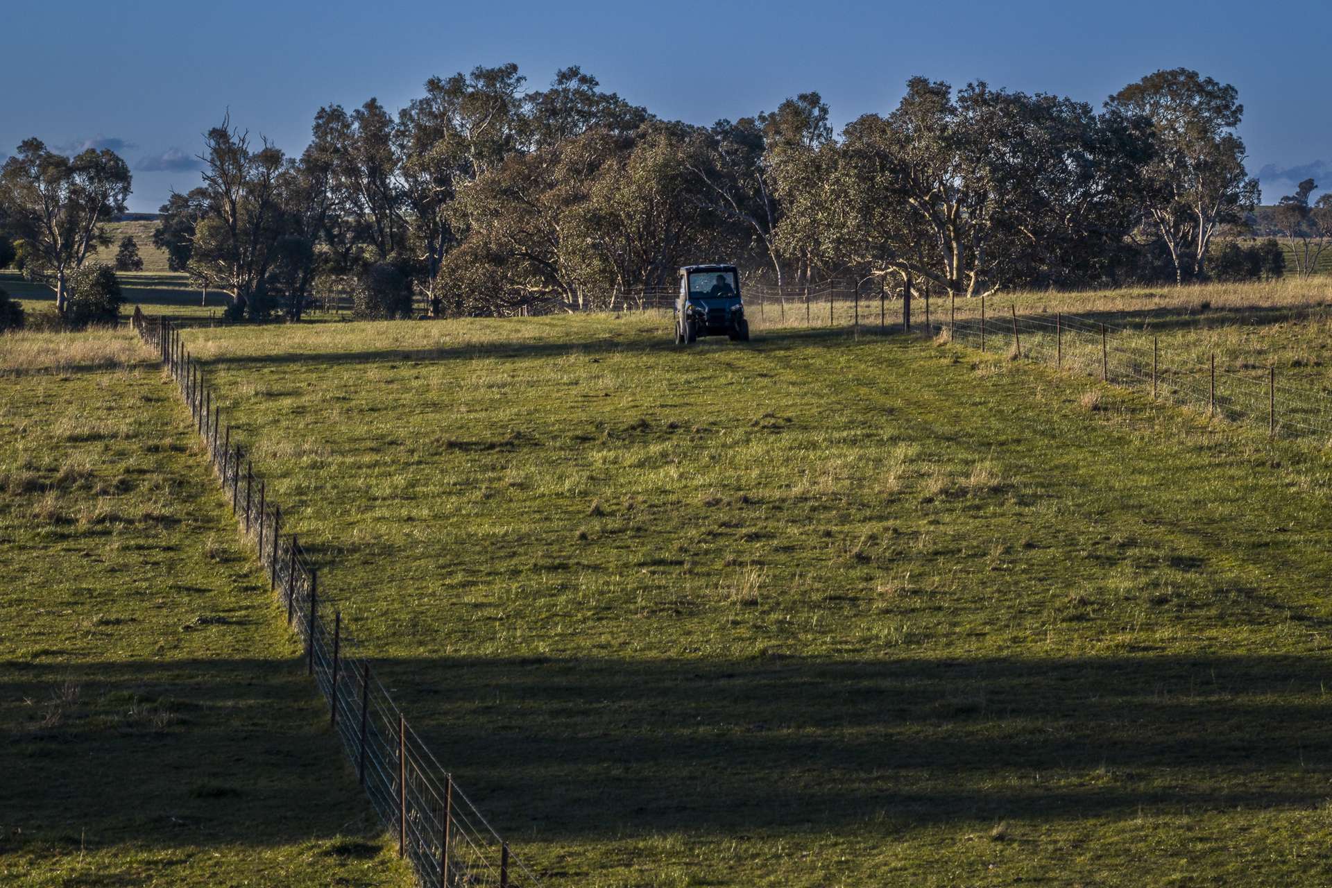 51 Normanhurst Lane, Boorowa Auction by Farmbuy.com - image 26
