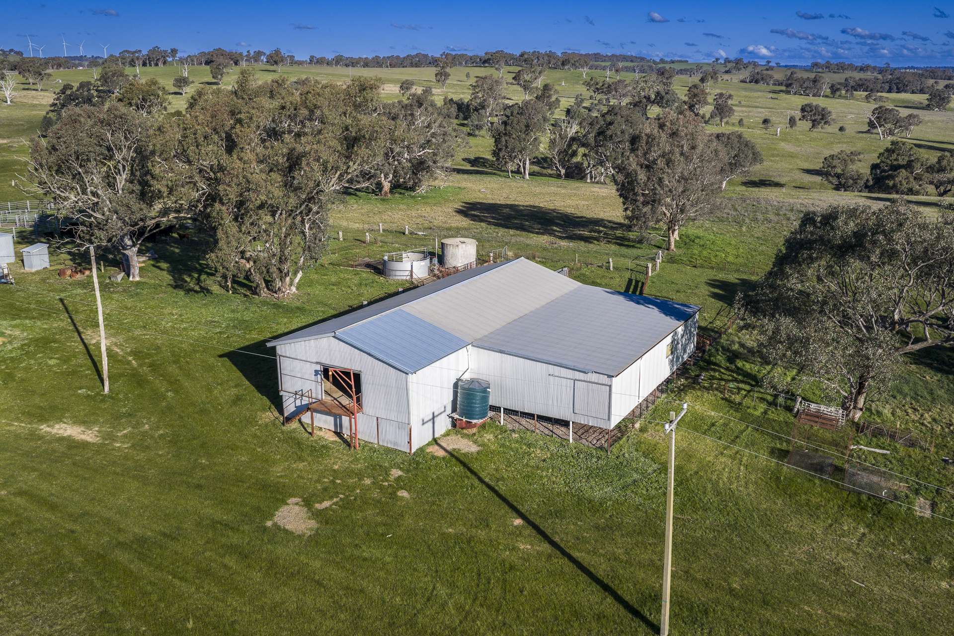 51 Normanhurst Lane, Boorowa Auction by Farmbuy.com - image 4