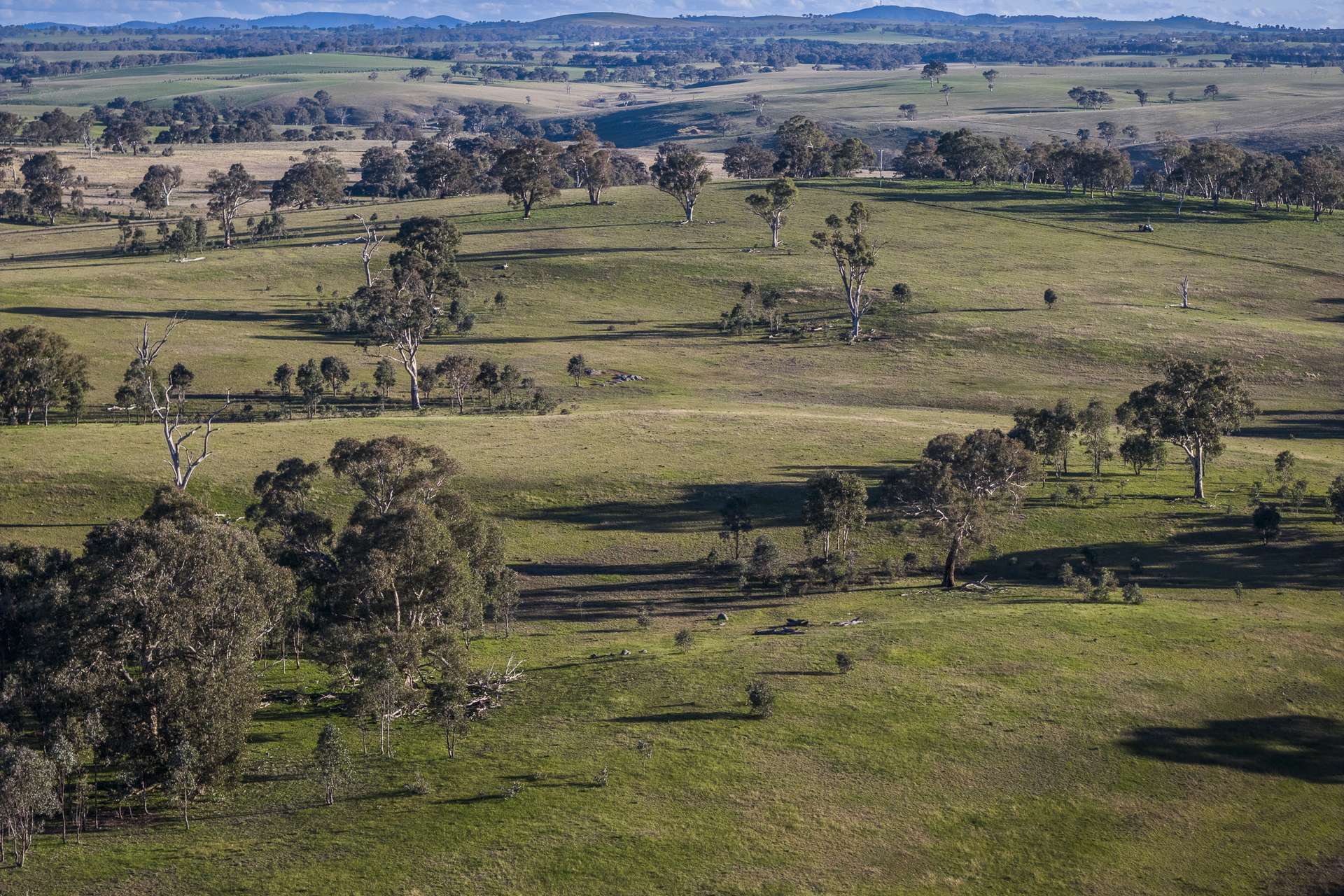 51 Normanhurst Lane, Boorowa Auction by Farmbuy.com - image 35