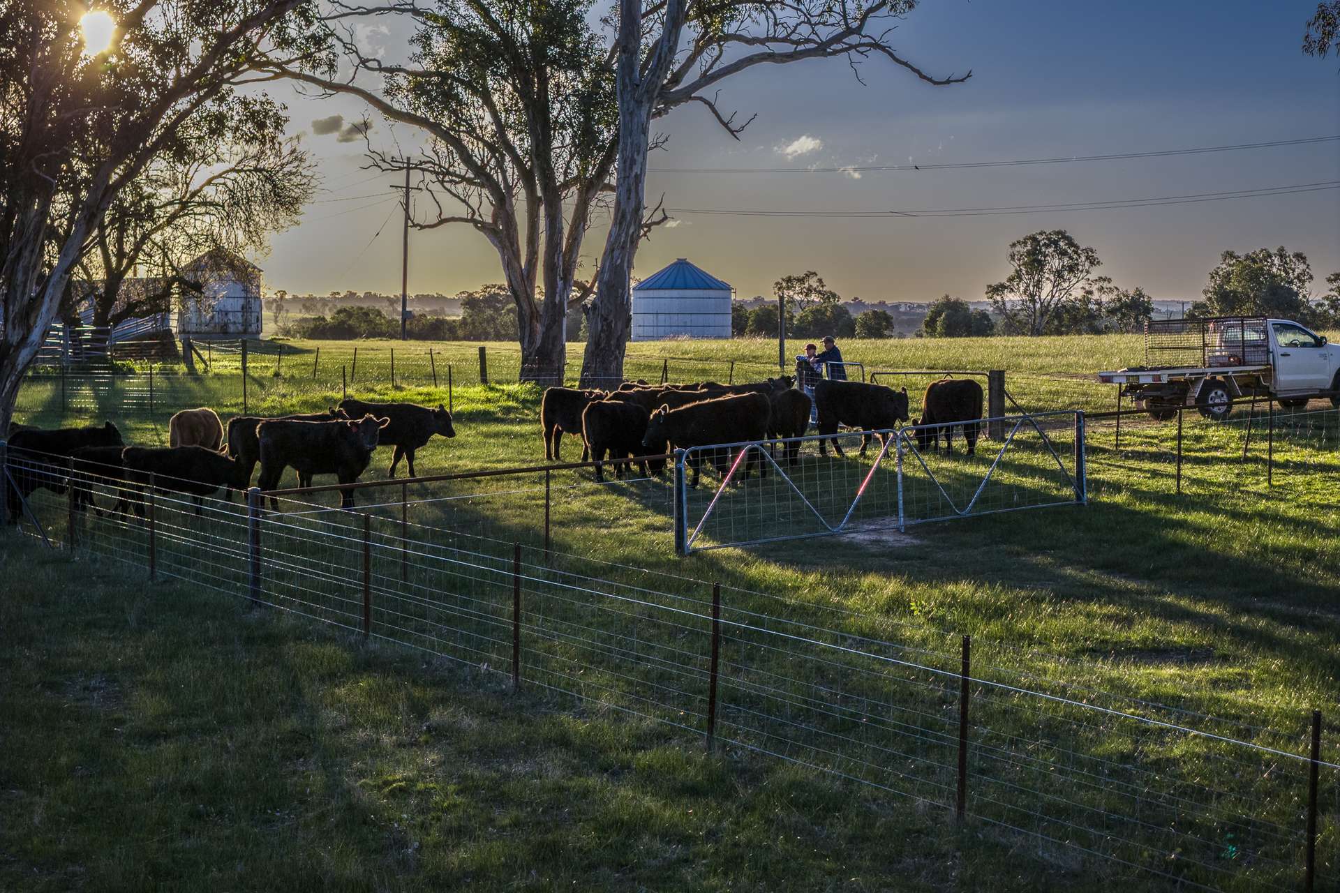51 Normanhurst Lane, Boorowa Auction by Farmbuy.com - image 24