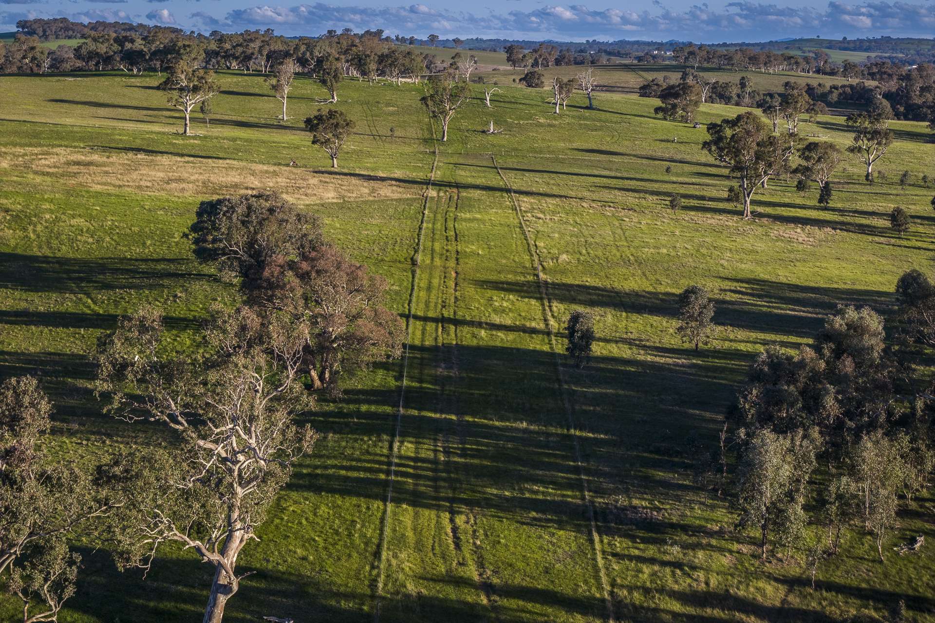 51 Normanhurst Lane, Boorowa Auction by Farmbuy.com - image 27