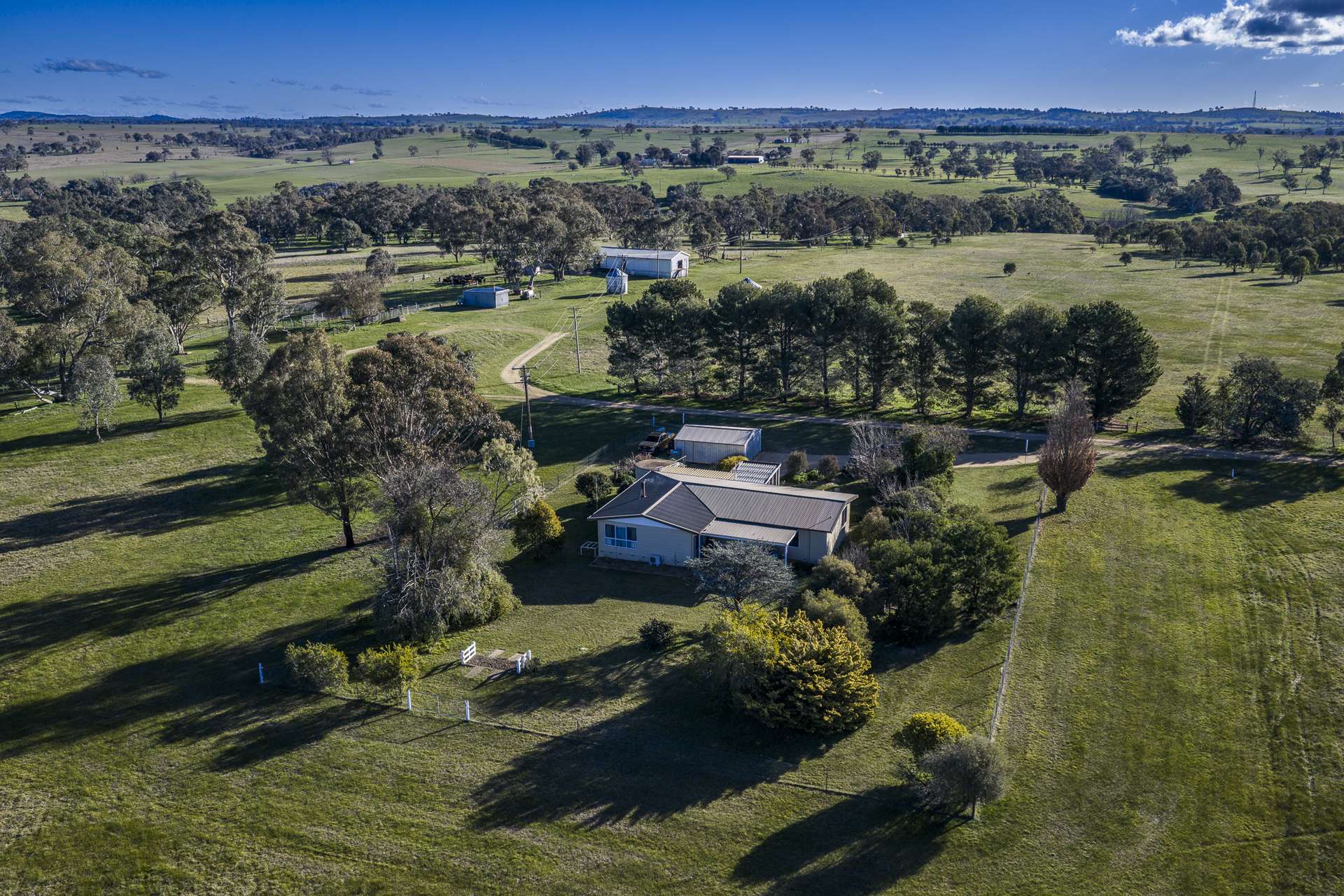 51 Normanhurst Lane, Boorowa Auction by Farmbuy.com - image 3