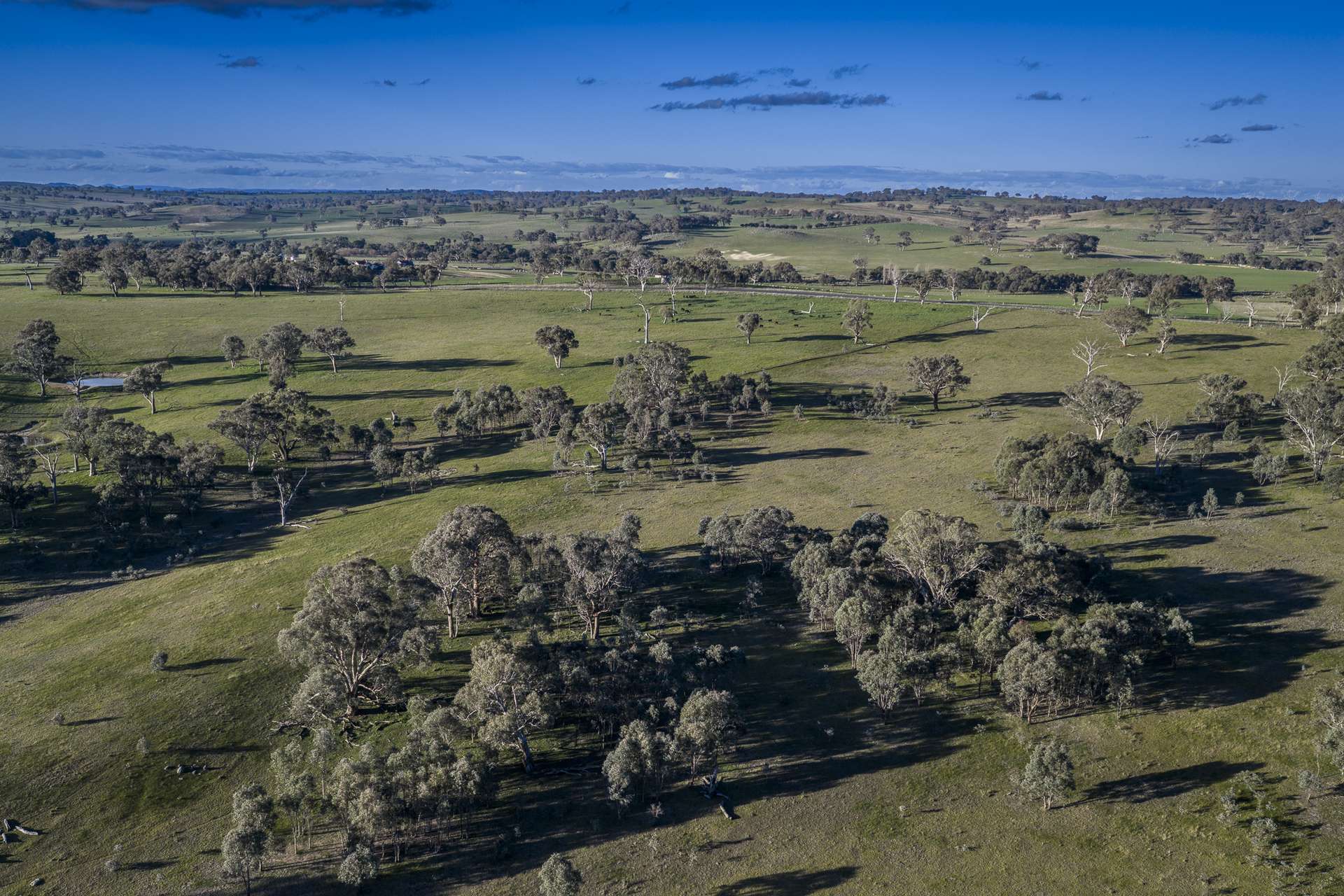 51 Normanhurst Lane, Boorowa Auction by Farmbuy.com - image 33