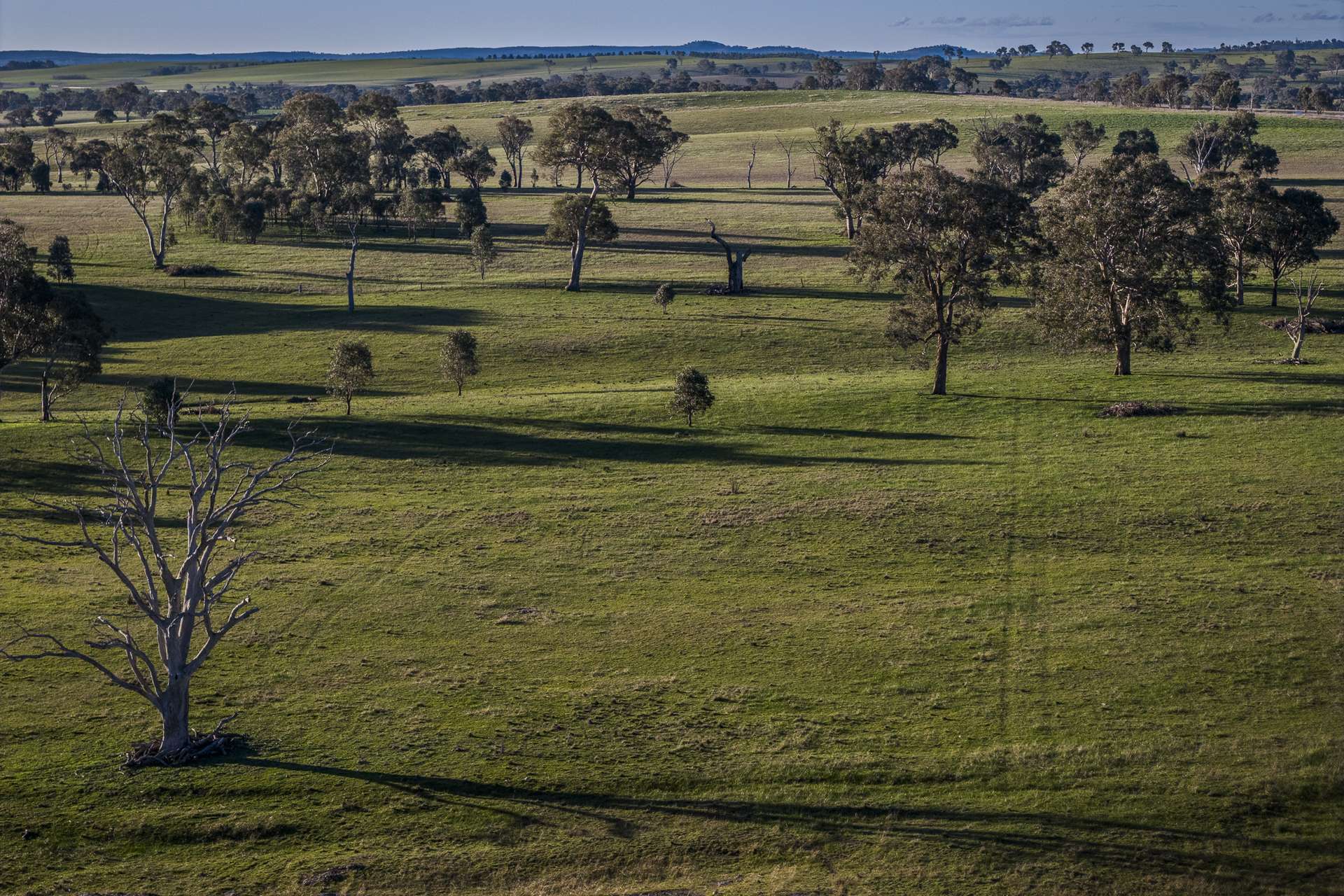 51 Normanhurst Lane, Boorowa Auction by Farmbuy.com - image 11