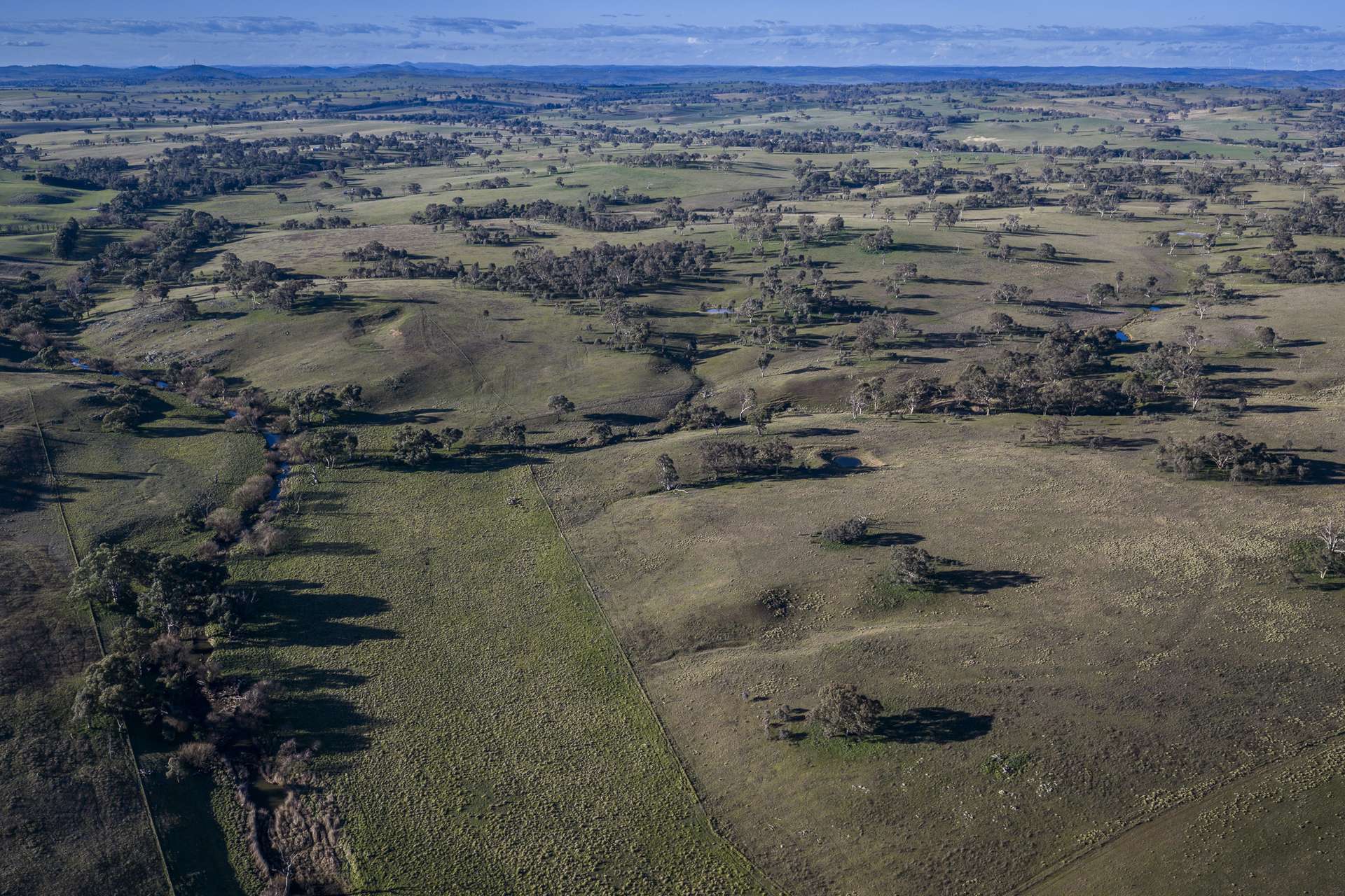 51 Normanhurst Lane, Boorowa Auction by Farmbuy.com - image 30