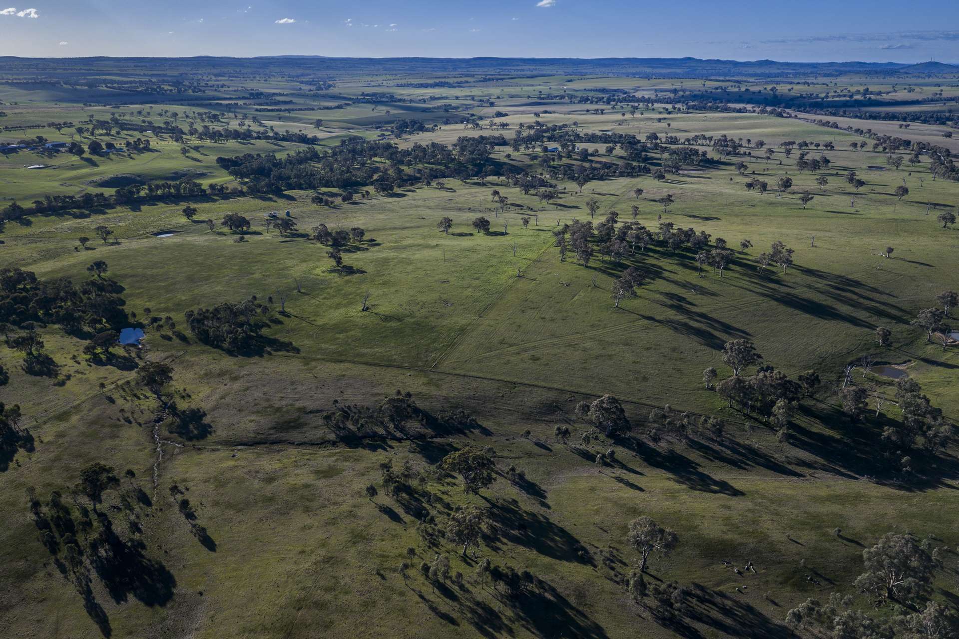 51 Normanhurst Lane, Boorowa Auction by Farmbuy.com - image 32