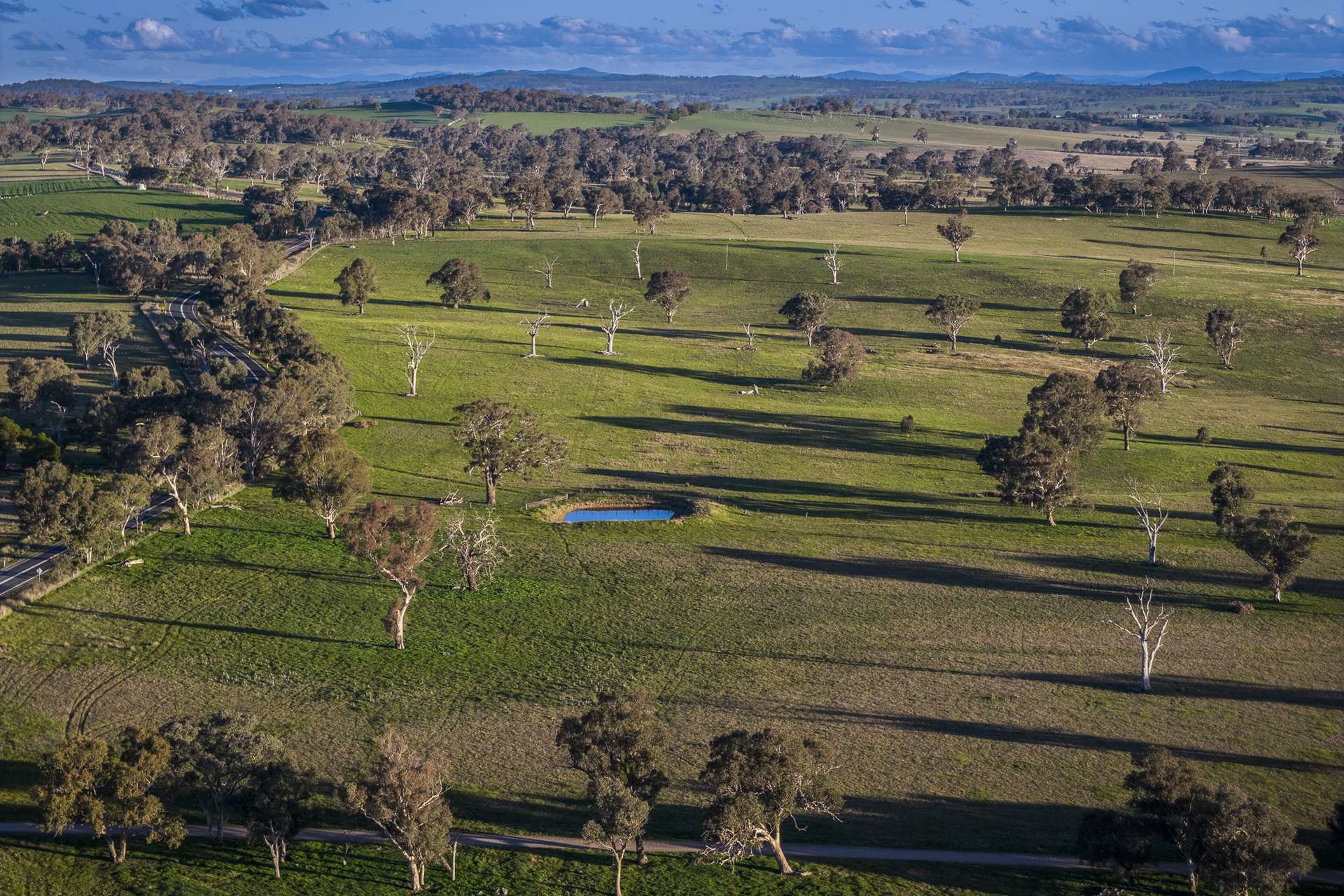51 Normanhurst Lane, Boorowa Auction by Farmbuy.com - image 5