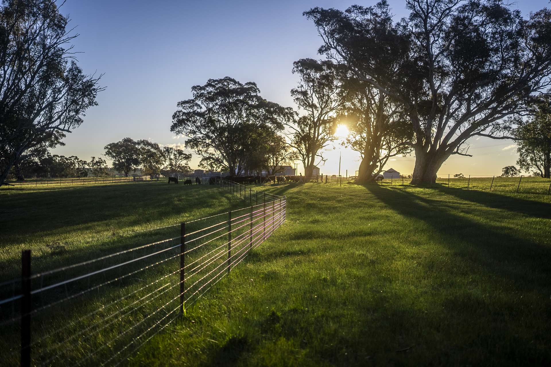 51 Normanhurst Lane, Boorowa Auction by Farmbuy.com - image 12