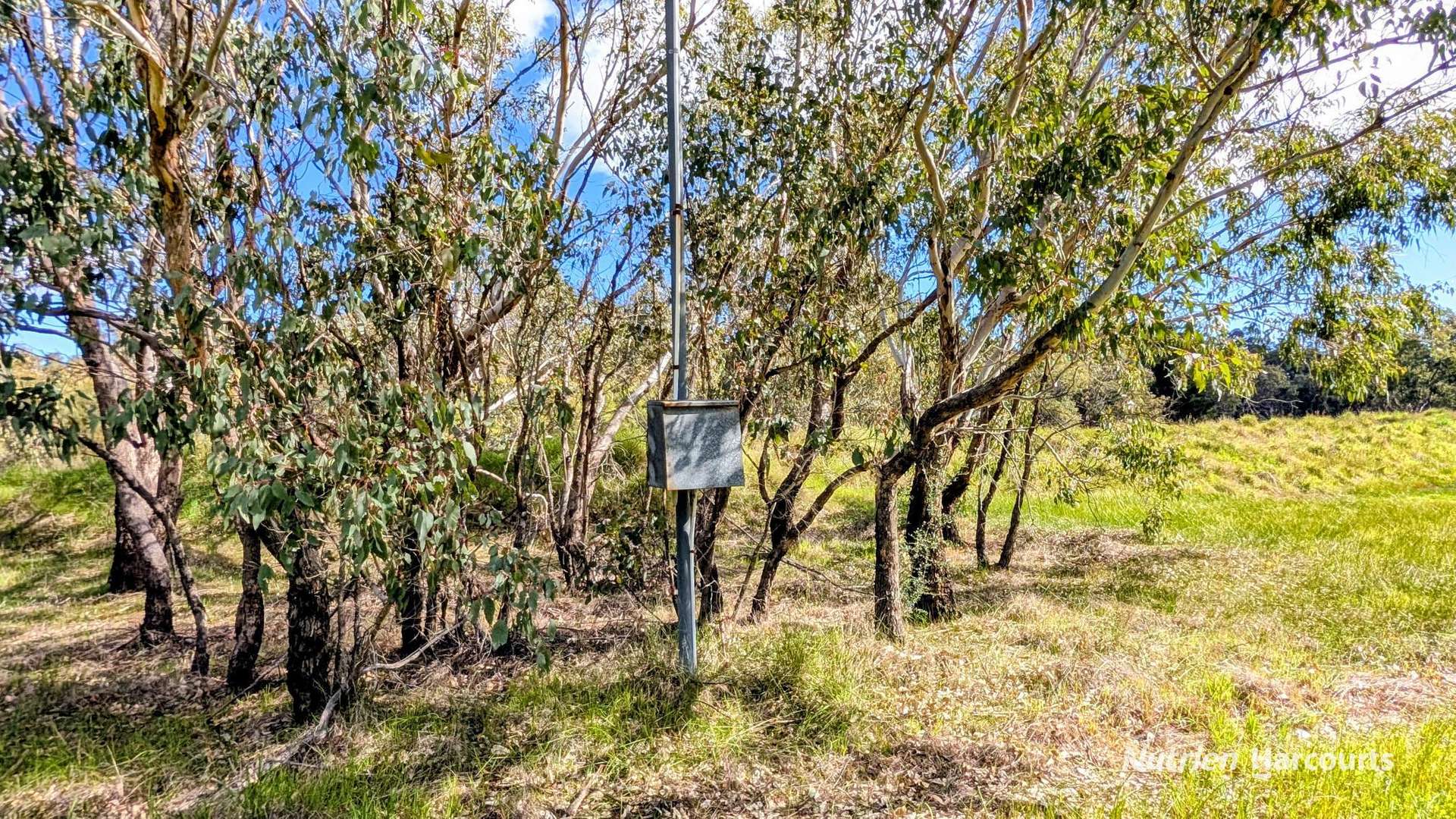 Lot 199 Flourmill Cove (Nabaroo Rd), Cowalla For Sale by Farmbuy.com - image 12