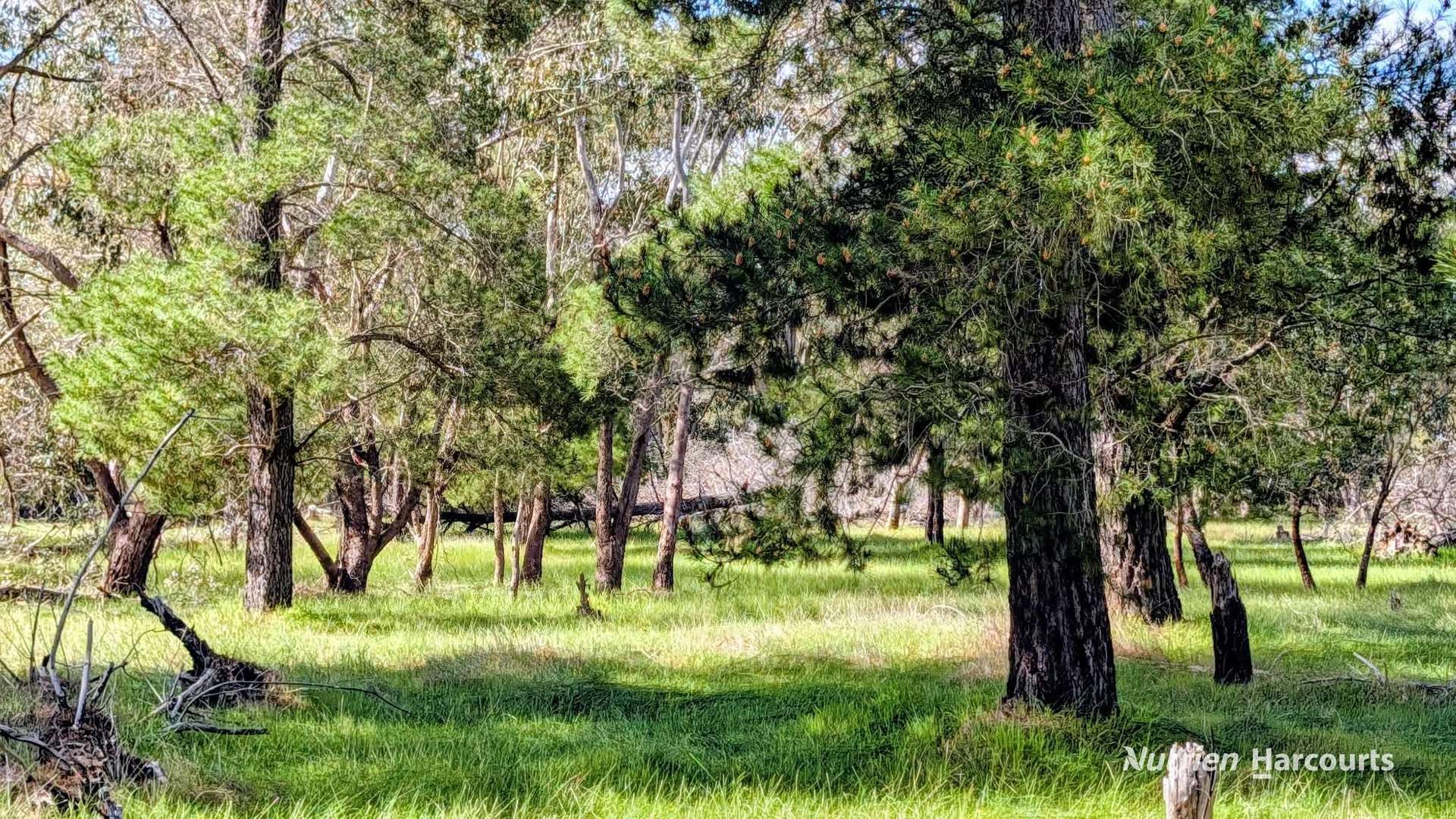 Lot 199 Flourmill Cove (Nabaroo Rd), Cowalla For Sale by Farmbuy.com - image 19
