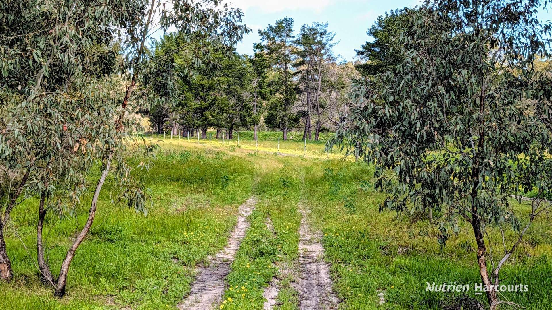 Lot 199 Flourmill Cove (Nabaroo Rd), Cowalla For Sale by Farmbuy.com - image 9