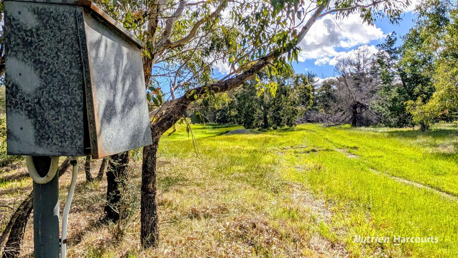 Lot 199 Flourmill Cove (Nabaroo Rd), Cowalla For Sale by Farmbuy.com - image 13