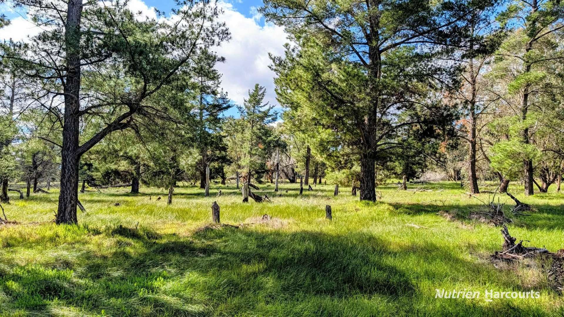 Lot 199 Flourmill Cove (Nabaroo Rd), Cowalla For Sale by Farmbuy.com - image 16