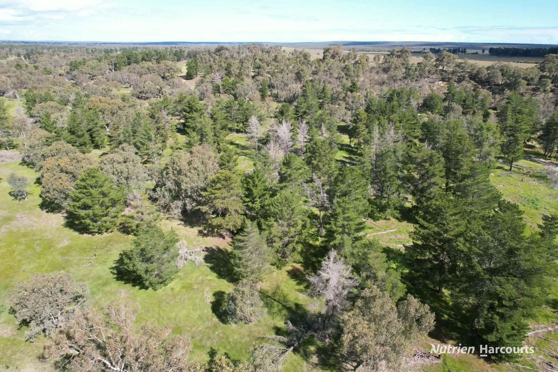 Lot 199 Flourmill Cove (Nabaroo Rd), Cowalla For Sale by Farmbuy.com - image 17