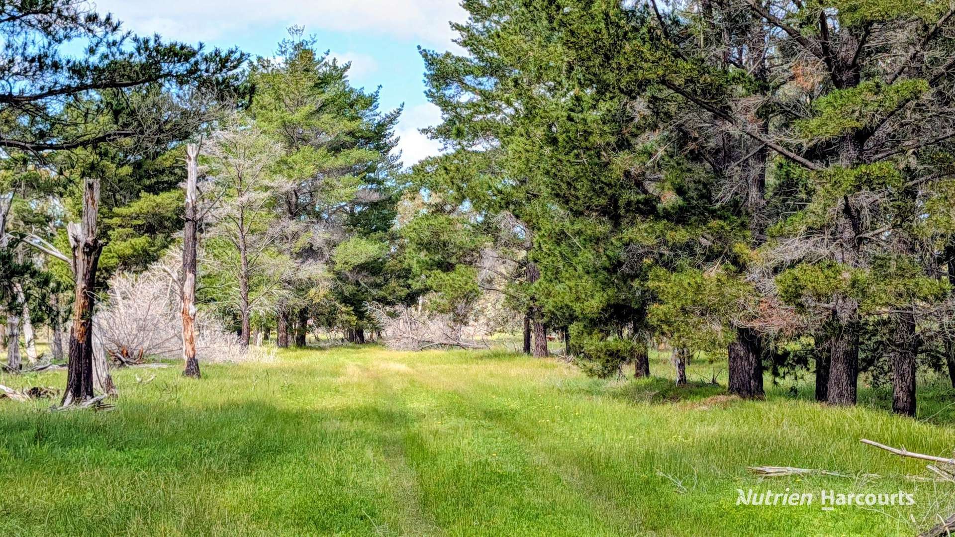 Lot 199 Flourmill Cove (Nabaroo Rd), Cowalla For Sale by Farmbuy.com - image 10