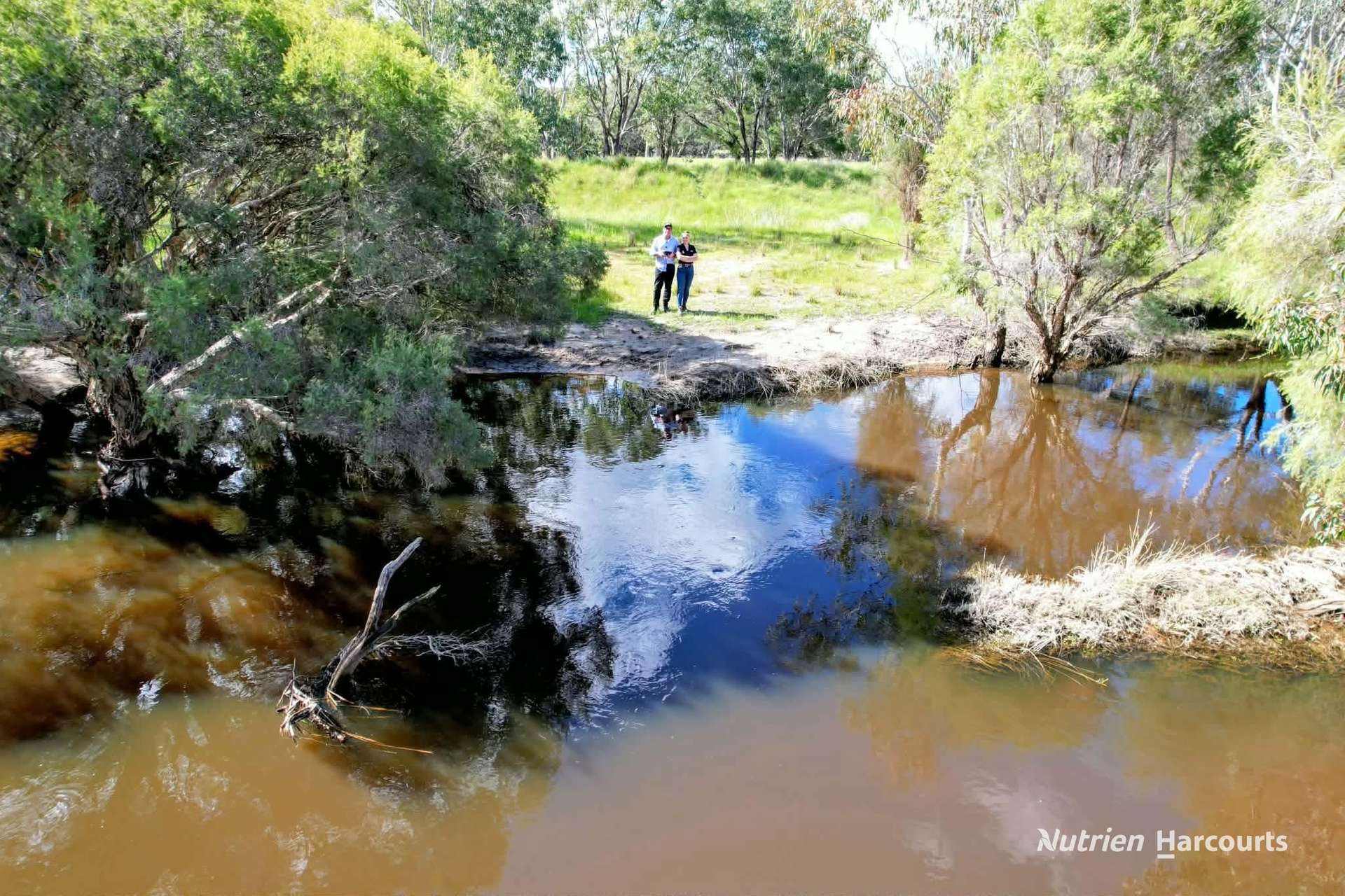 Lot 199 Flourmill Cove (Nabaroo Rd), Cowalla For Sale by Farmbuy.com - image 7