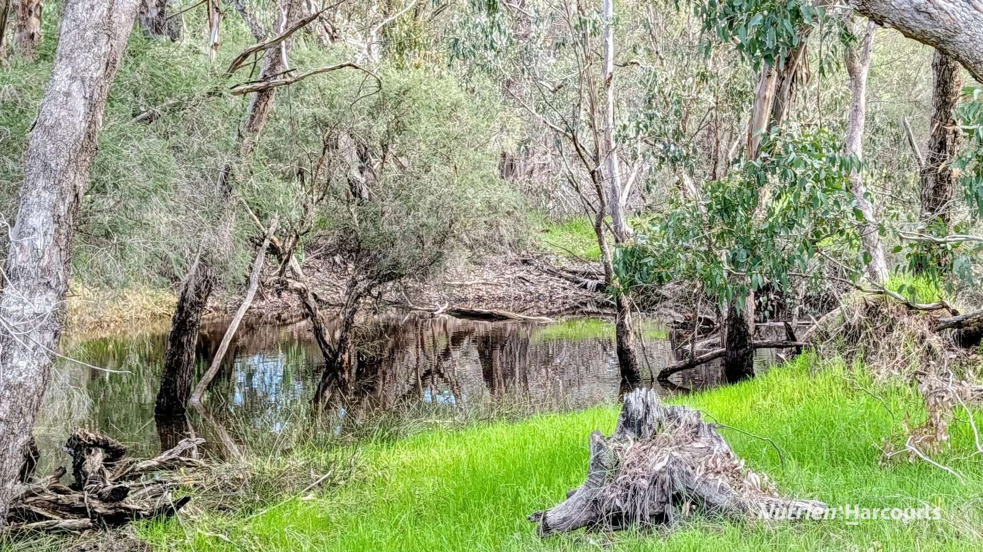 Lot 199 Flourmill Cove (Nabaroo Rd), Cowalla For Sale by Farmbuy.com - image 20