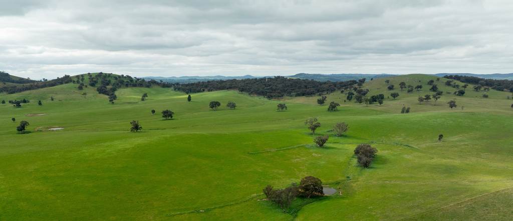 1285 Yerong Creek Mangoplah Road, Mangoplah NSW 2652