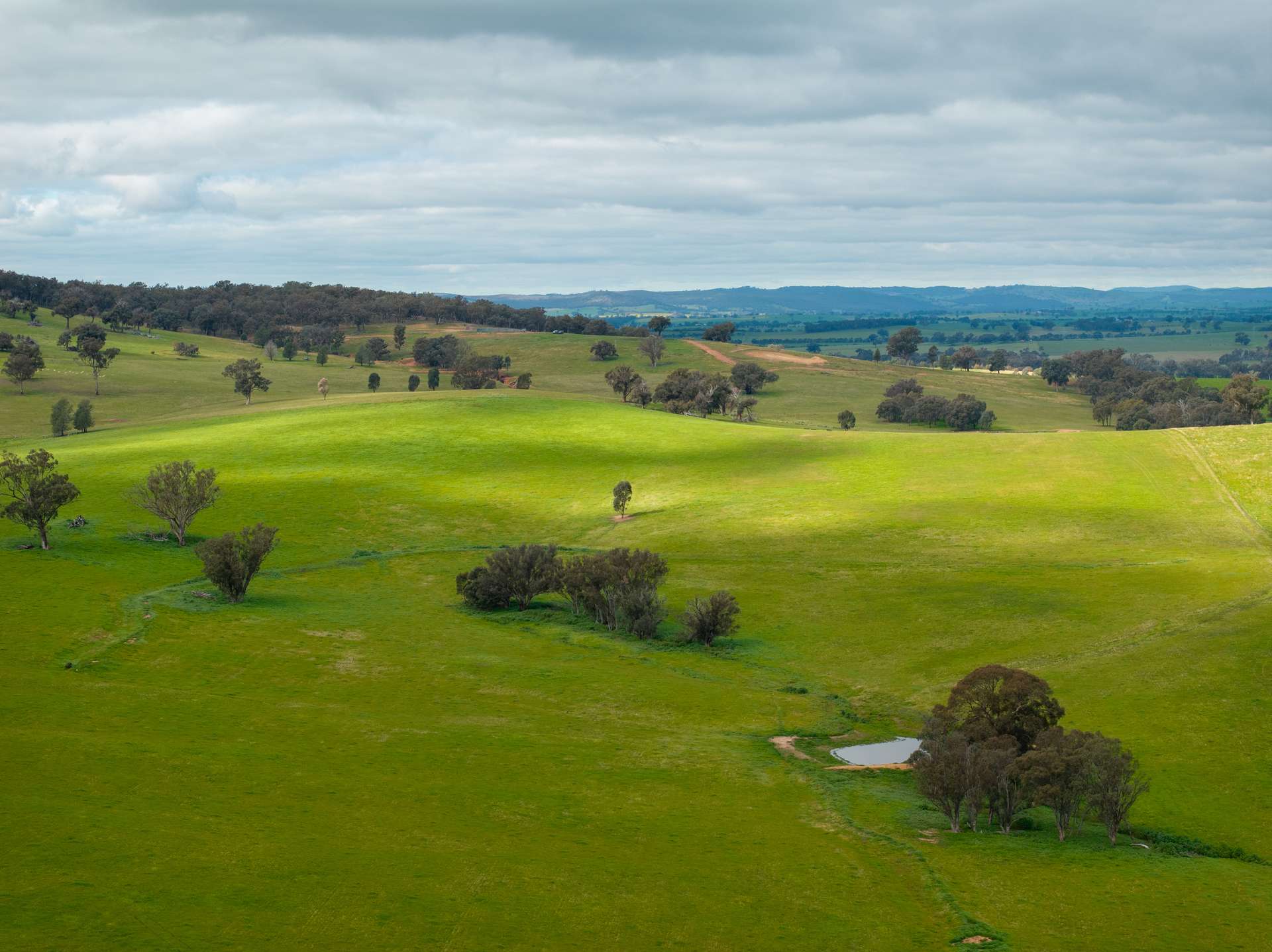 1285 Yerong Creek Mangoplah Road, Mangoplah For Sale by Farmbuy.com - image 11