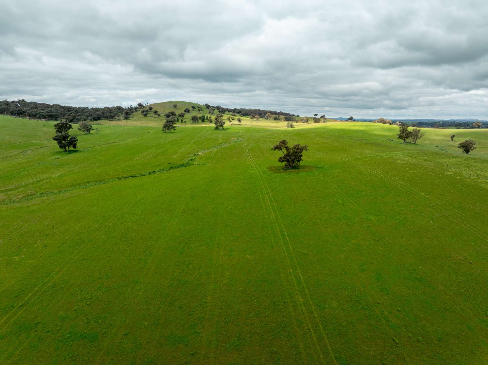 1285 Yerong Creek Mangoplah Road, Mangoplah For Sale by Farmbuy.com - image 3