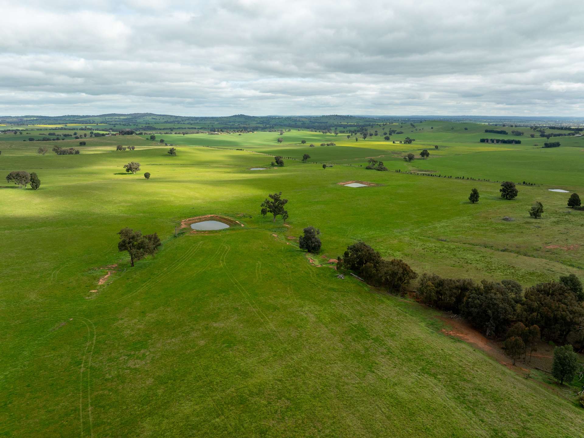 1285 Yerong Creek Mangoplah Road, Mangoplah For Sale by Farmbuy.com - image 17