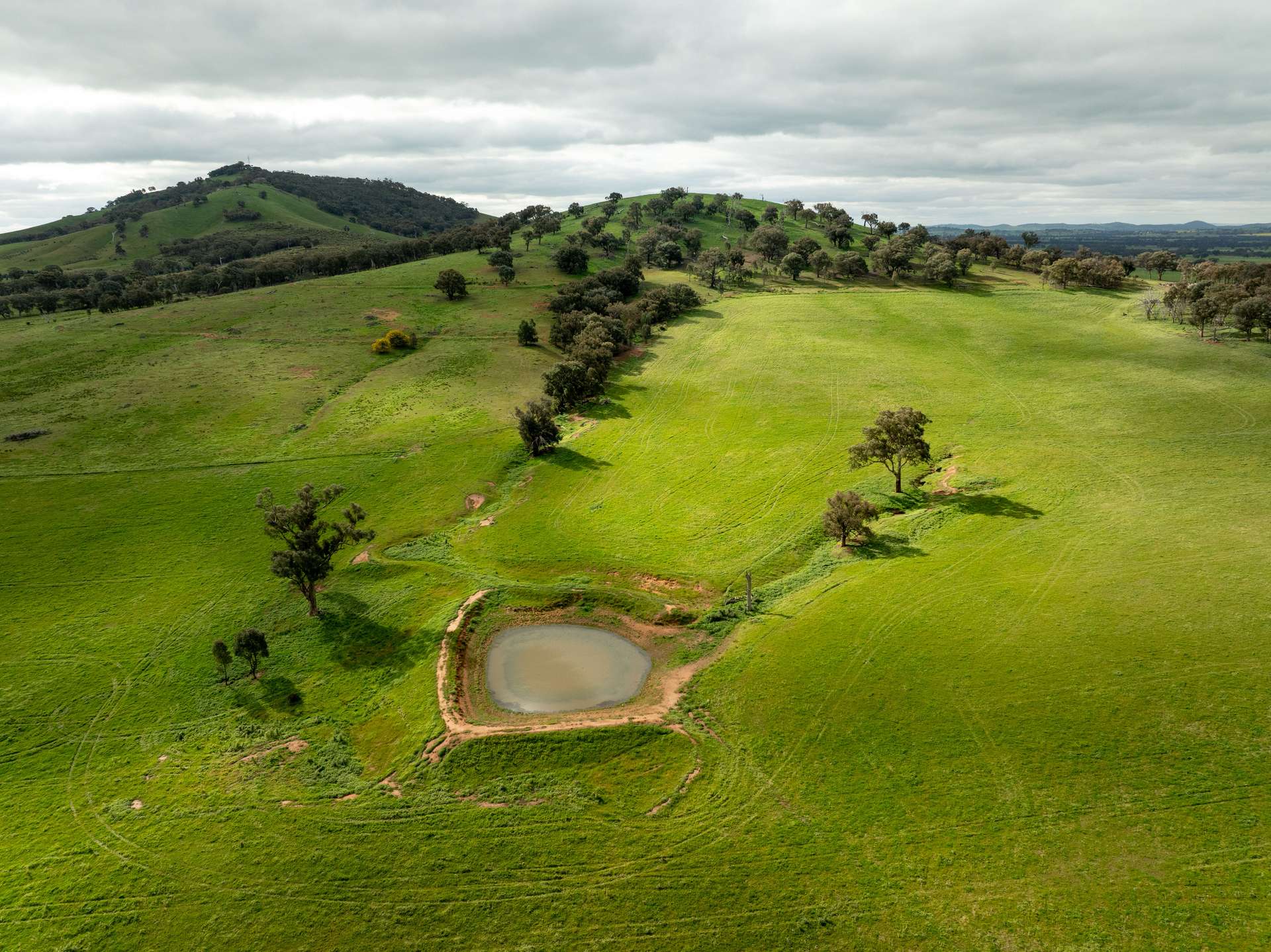 1285 Yerong Creek Mangoplah Road, Mangoplah For Sale by Farmbuy.com - image 21